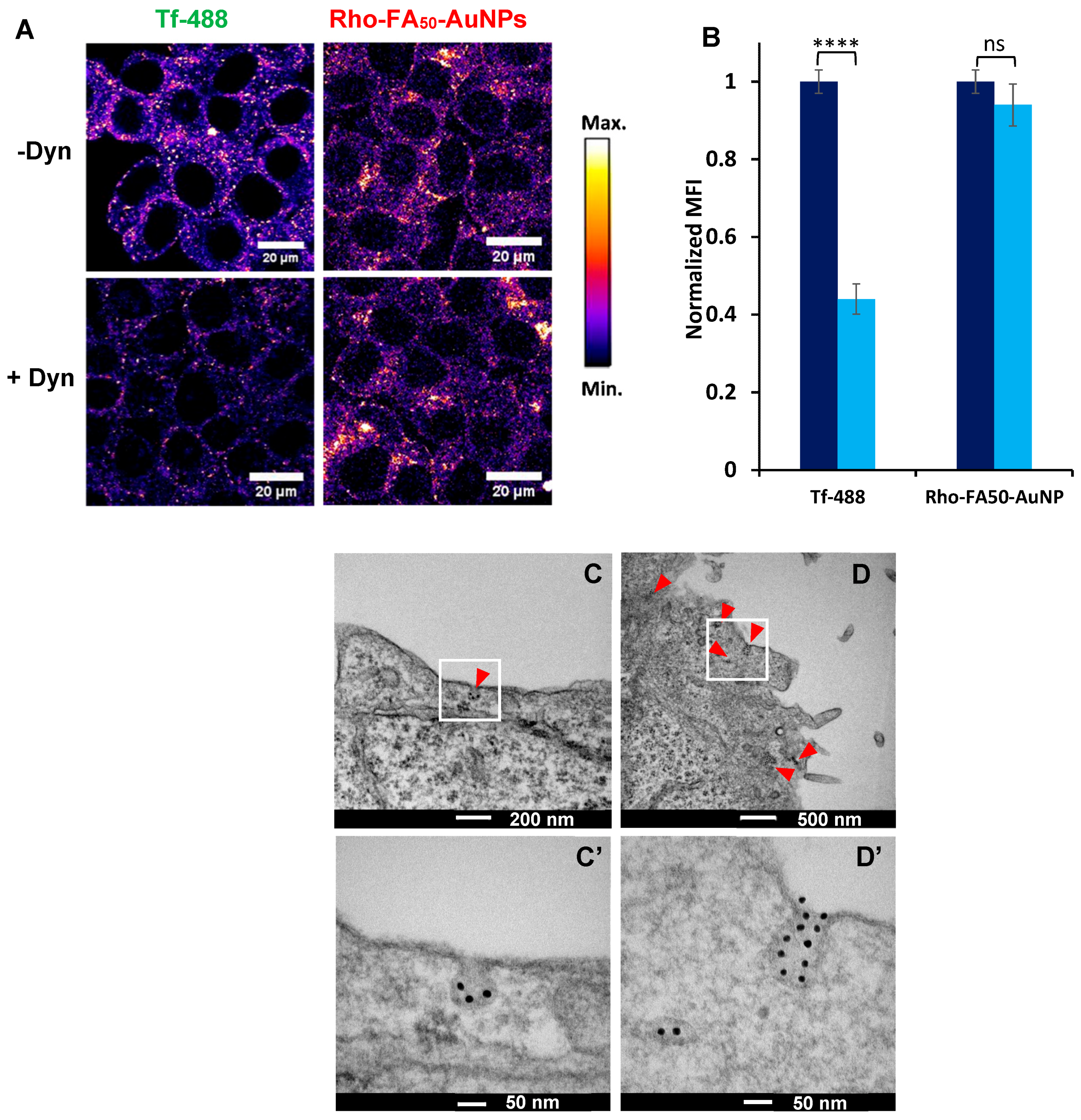 Pharmaceutics 15 00864 g008