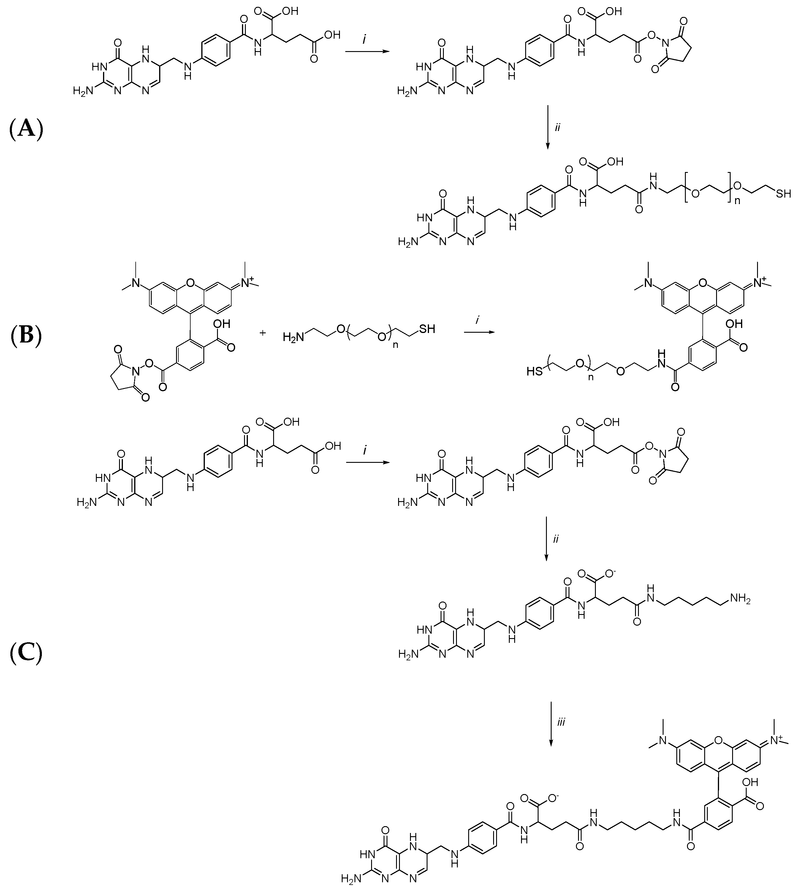 Pharmaceutics 15 00864 sch001