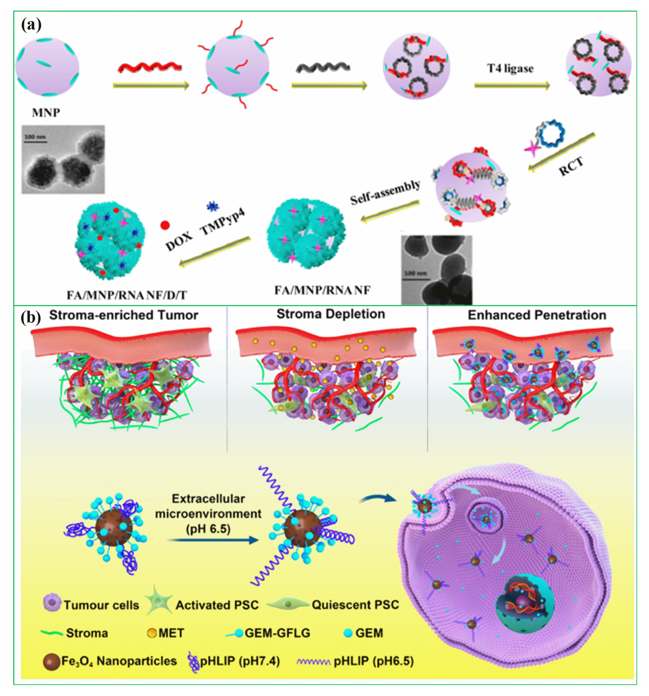 Pharmaceutics 15 00868 g002