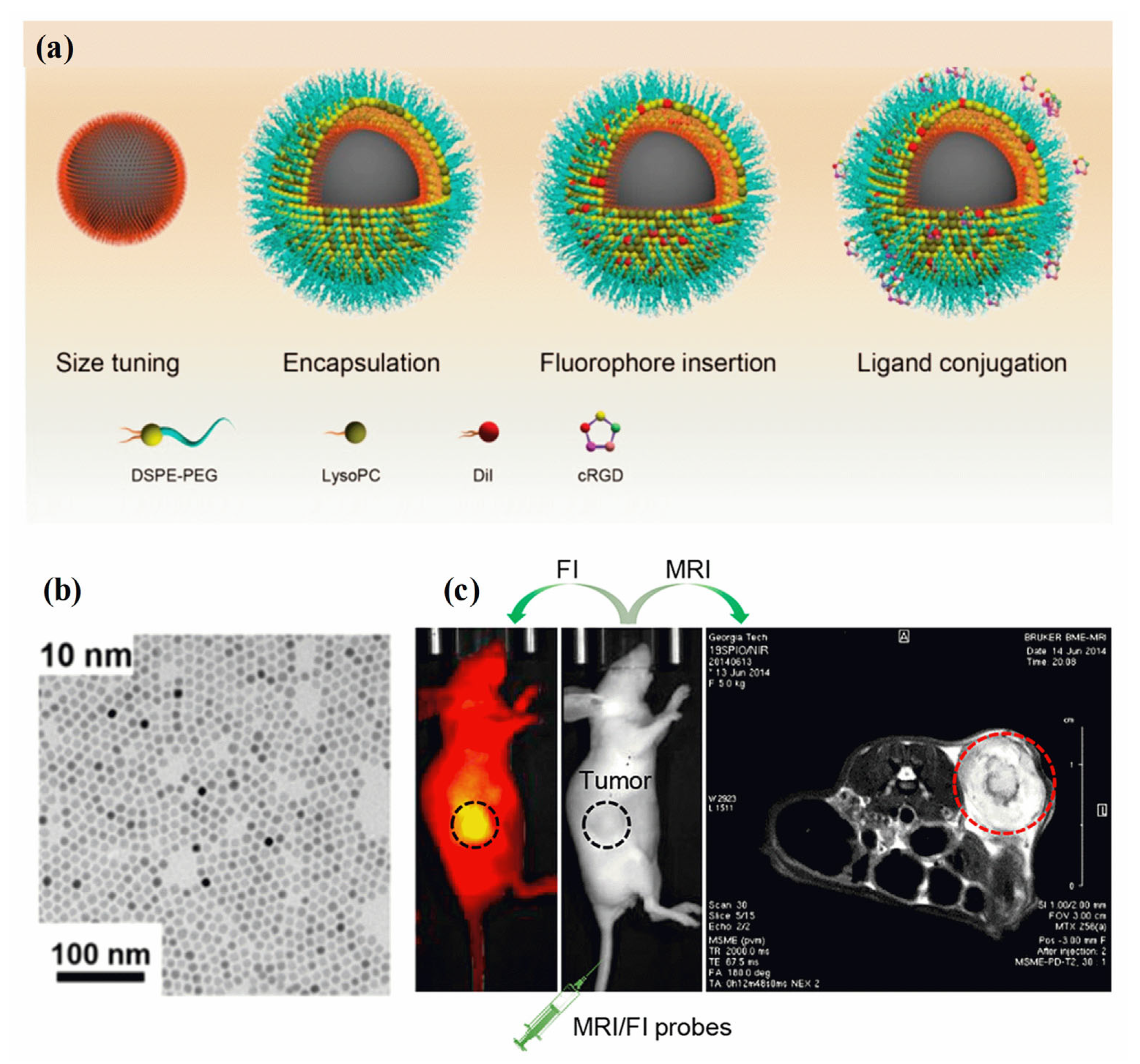 Pharmaceutics 15 00868 g005