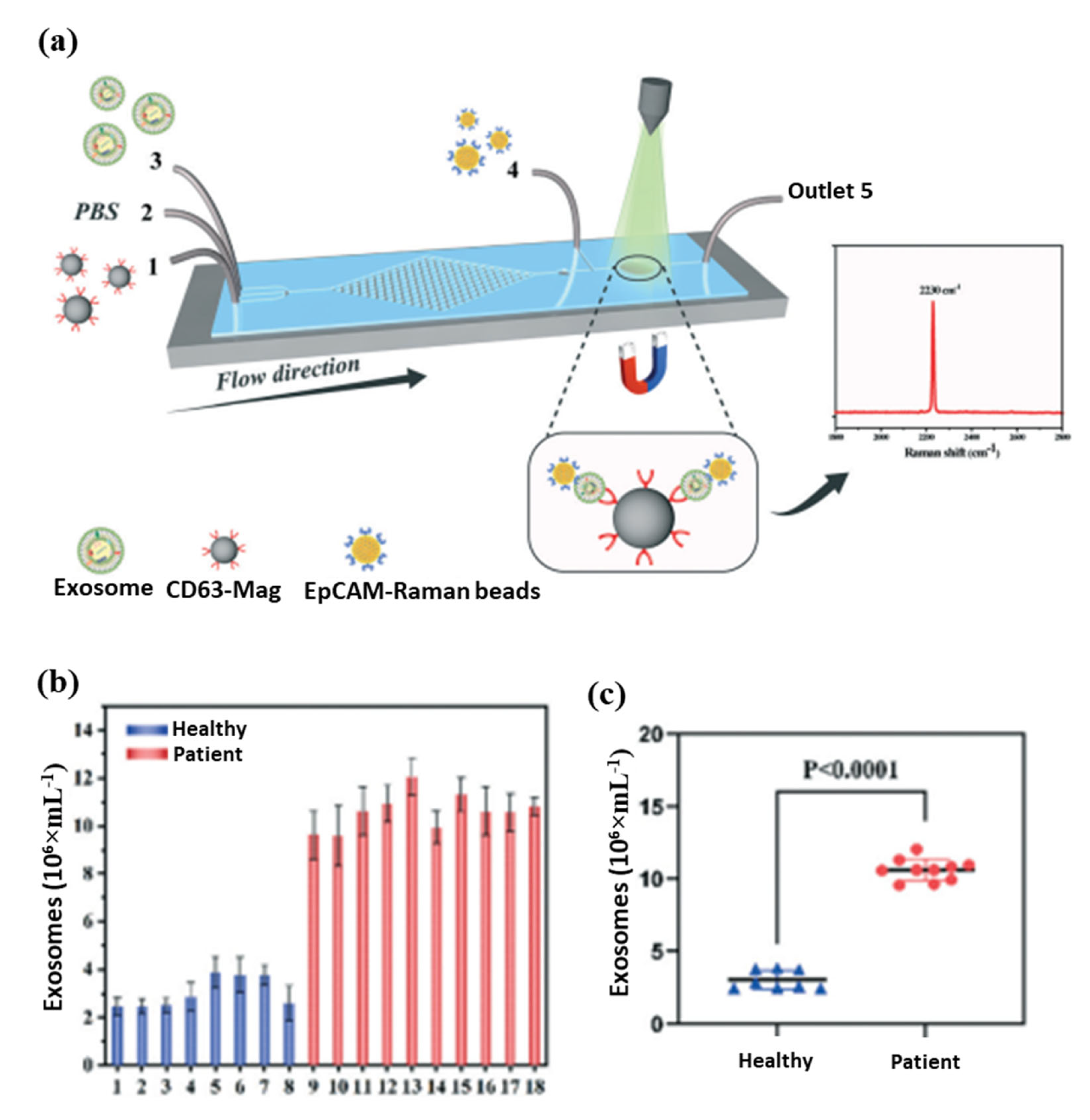 Pharmaceutics 15 00868 g006