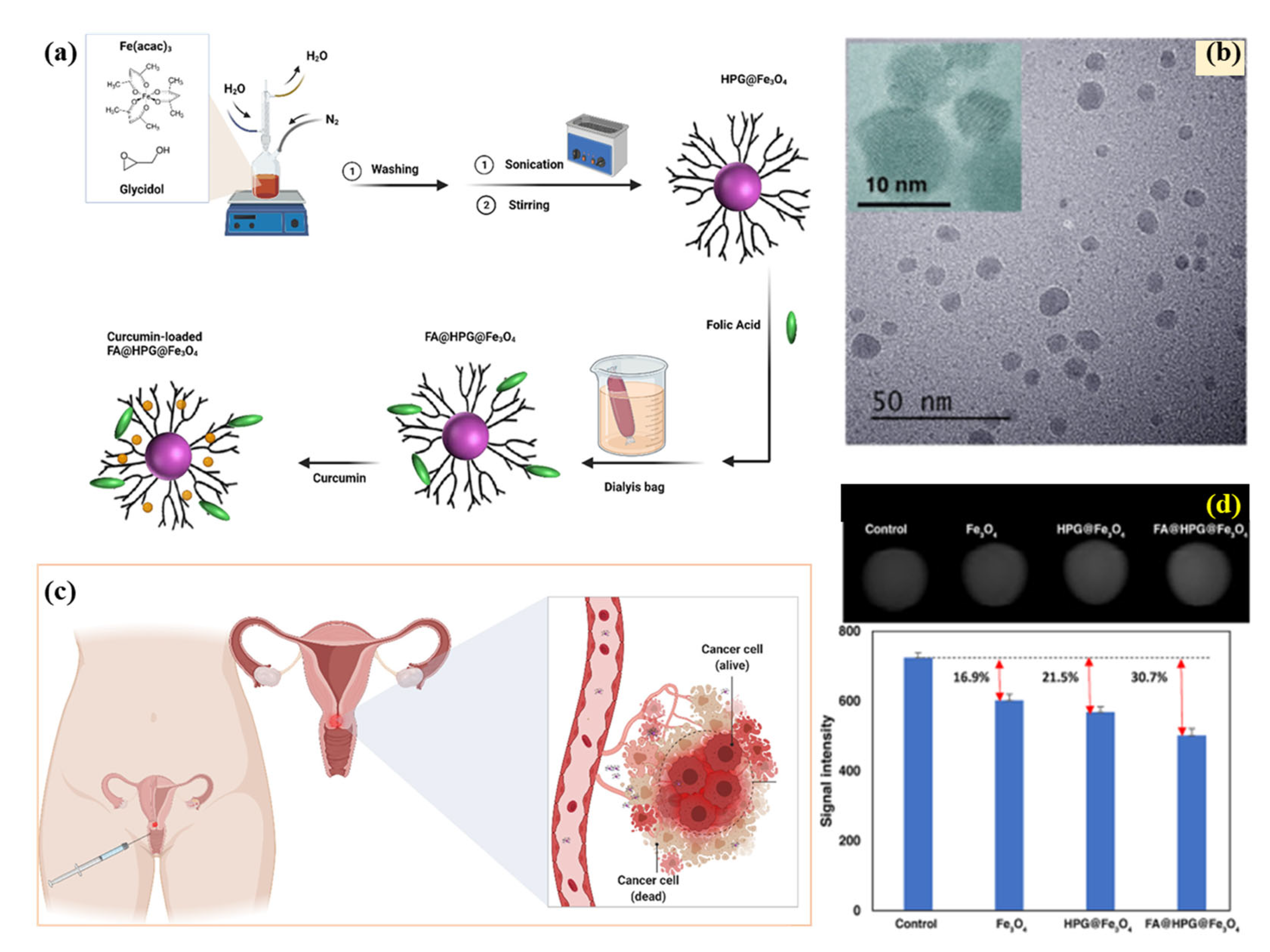 Pharmaceutics 15 00868 g008