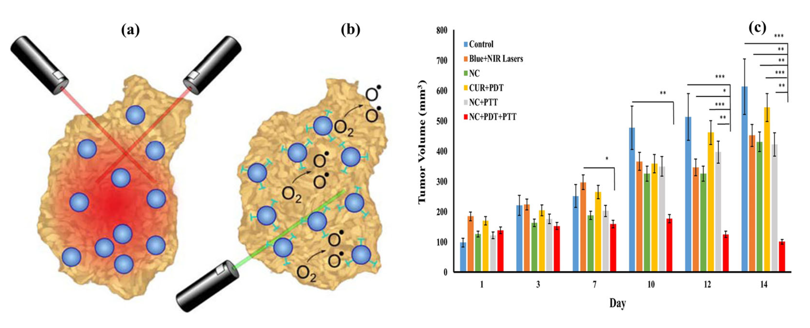 Pharmaceutics 15 00868 g011