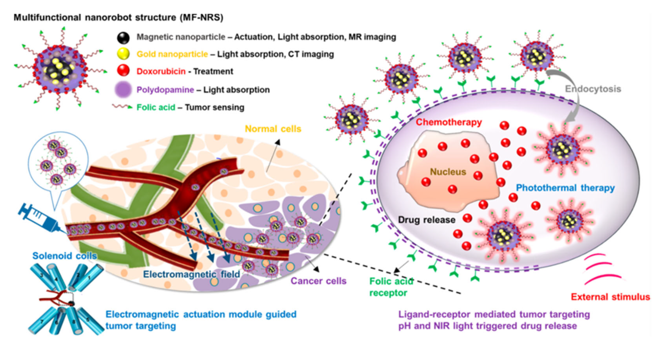 Pharmaceutics 15 00868 g012