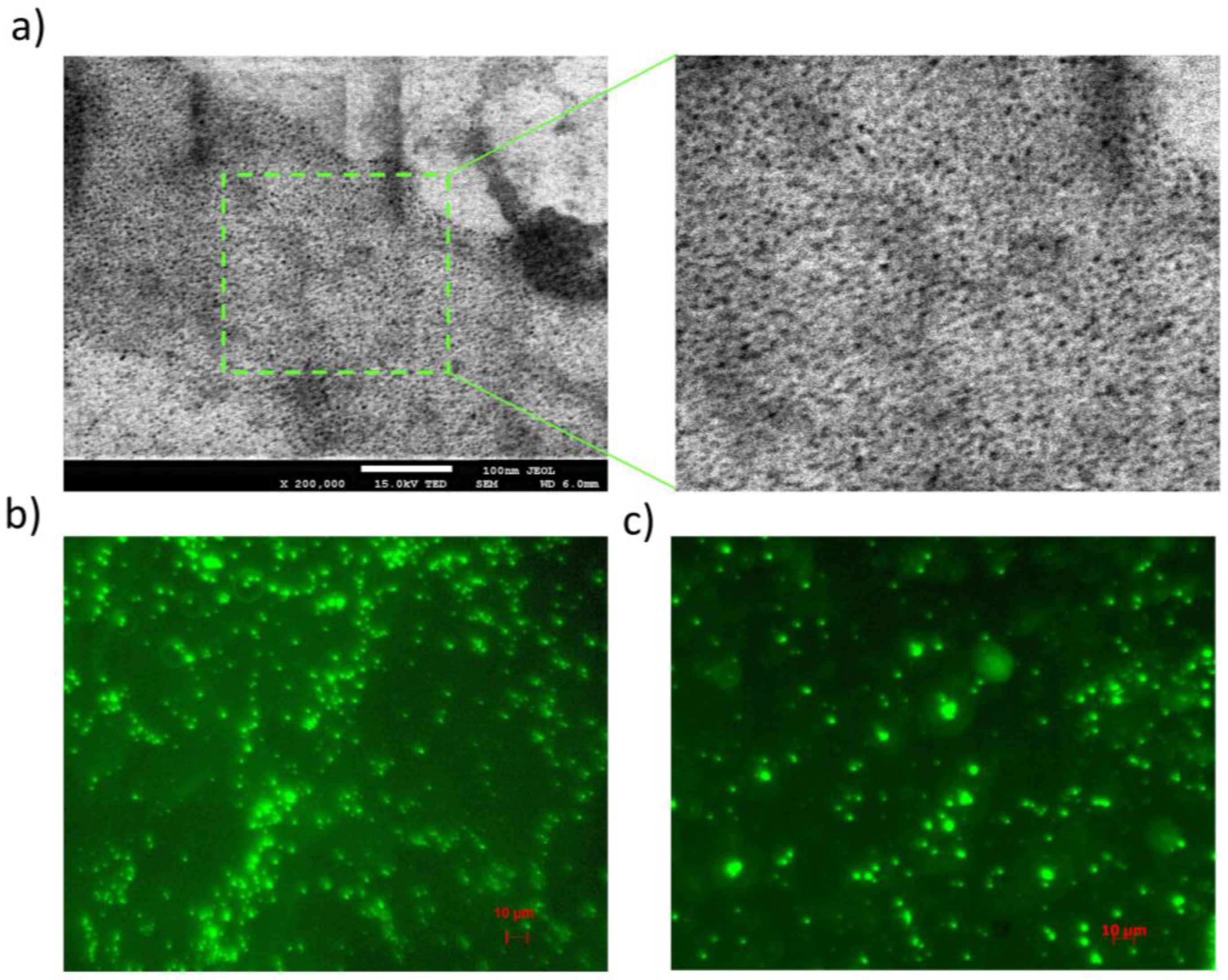 Pharmaceutics 15 00875 g007