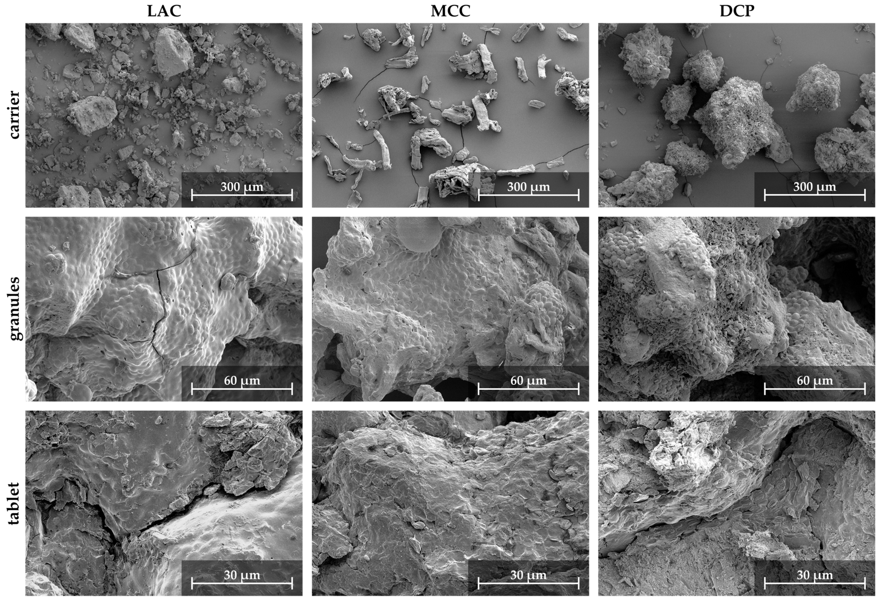 Pharmaceutics 15 00884 g009