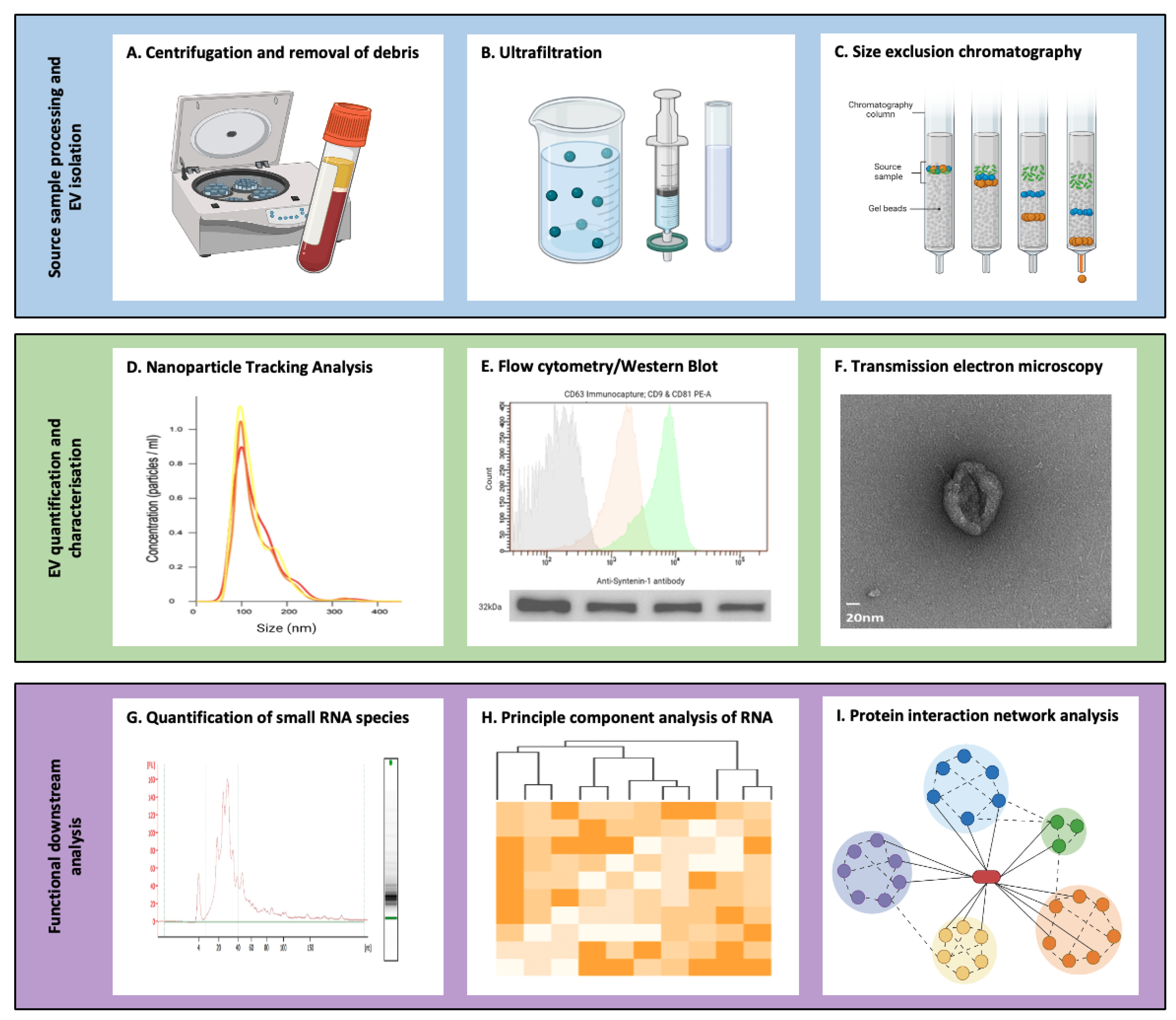 Pharmaceutics 15 00891 g002 Pharmaceutics 15 00891 g002