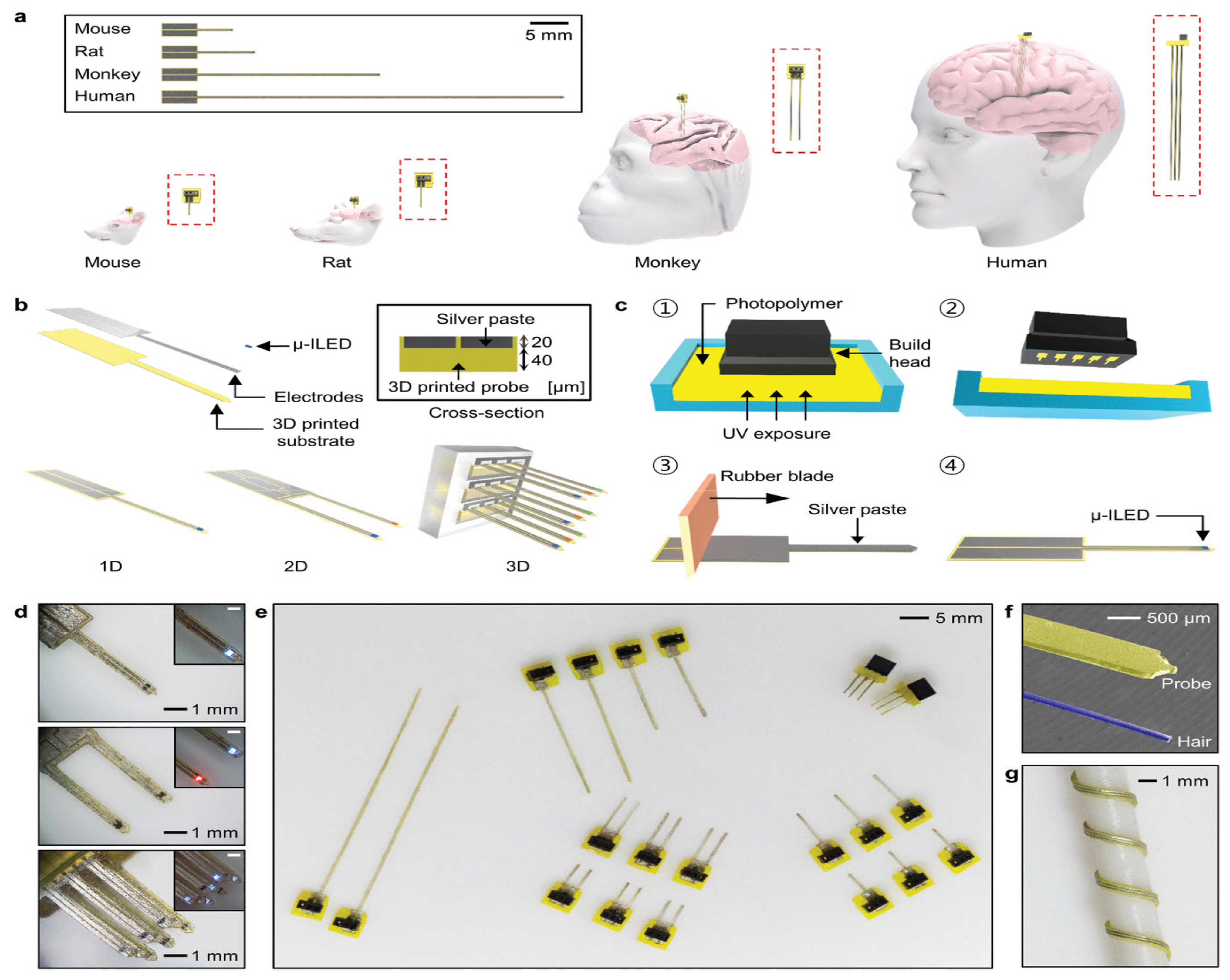 Pharmaceutics 15 00892 g004 Pharmaceutics 15 00892 g004