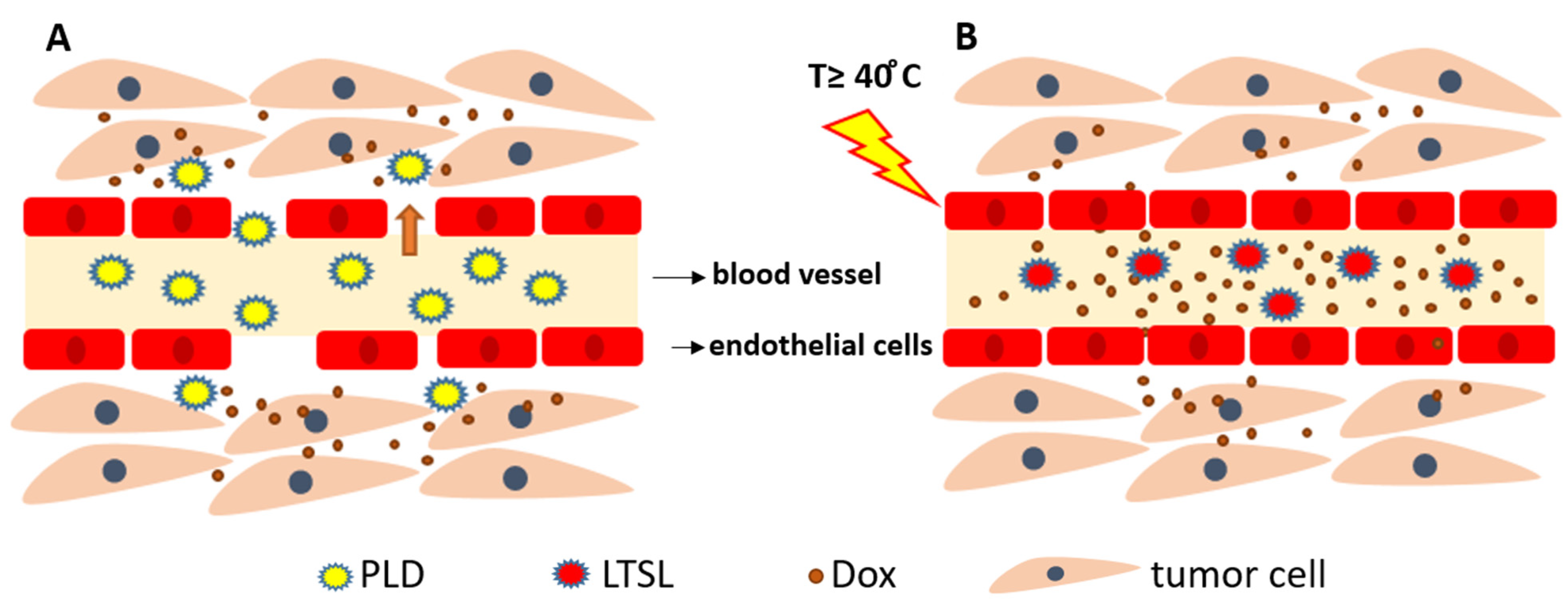 Pharmaceutics 15 00893 g001