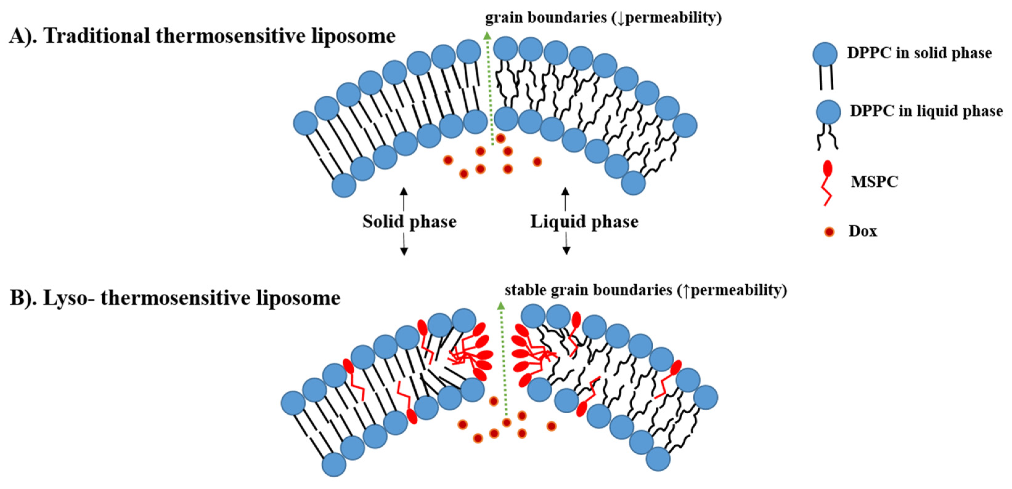 Pharmaceutics 15 00893 g004