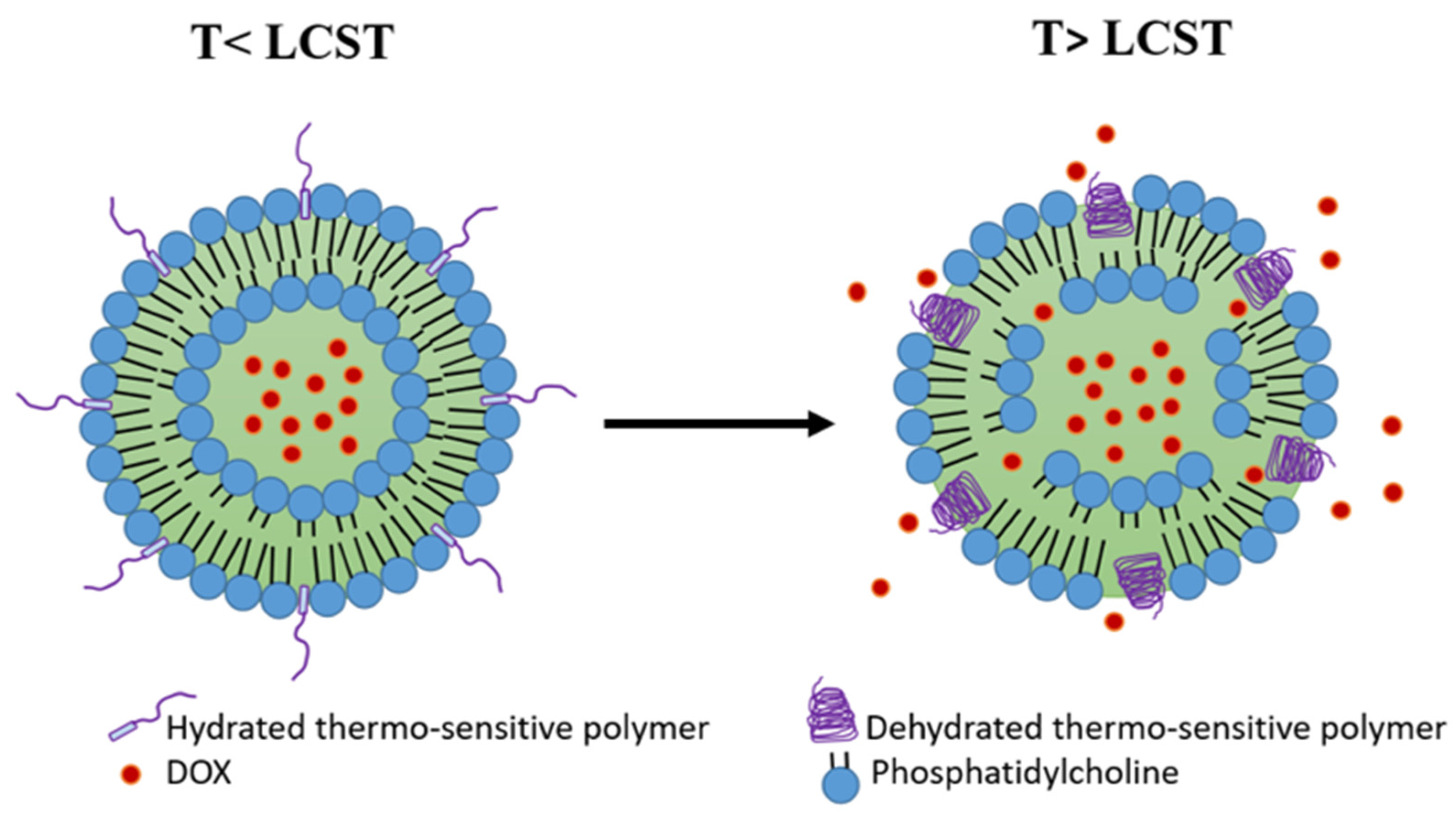Pharmaceutics 15 00893 g005