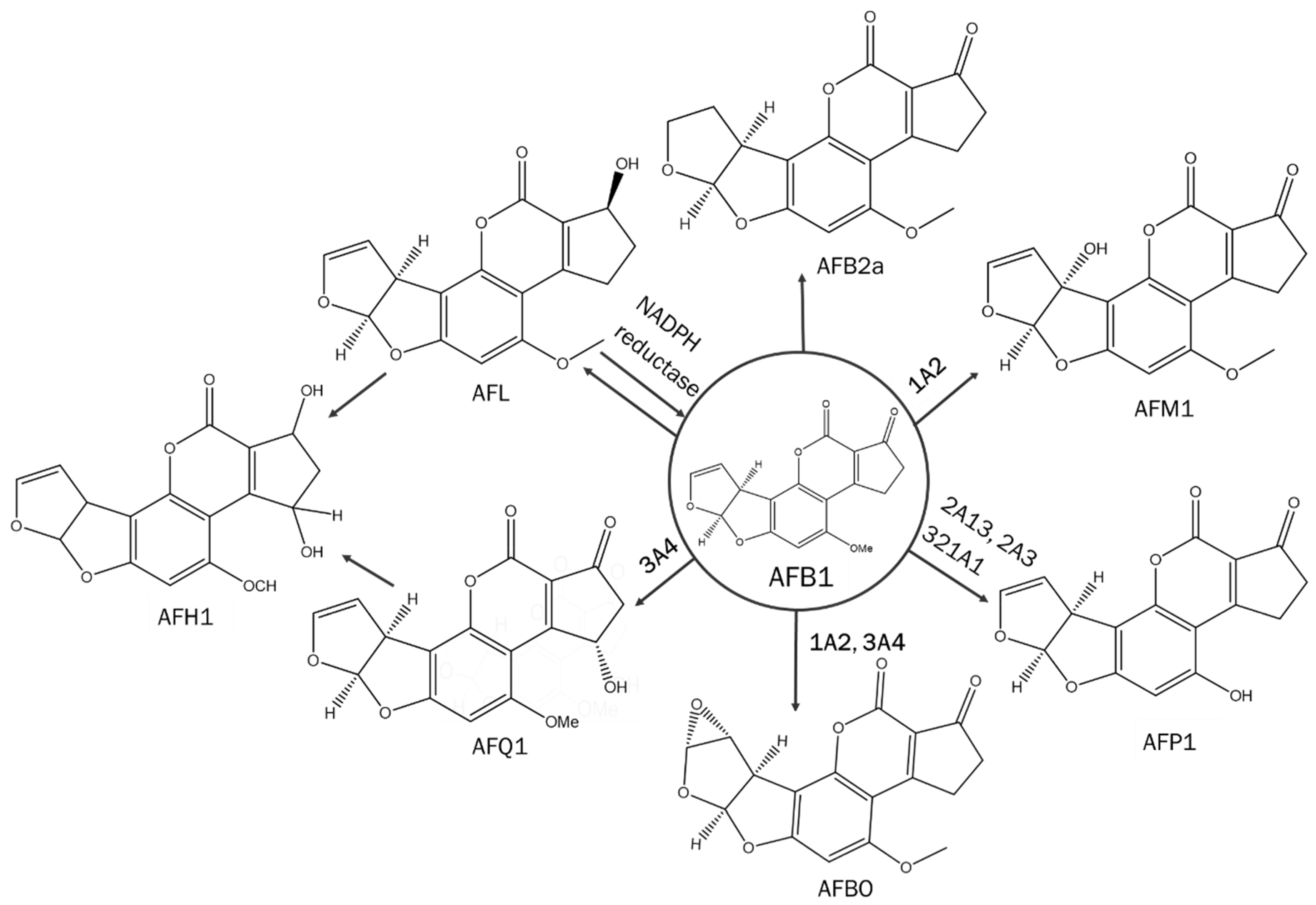Pharmaceutics 15 00894 g001