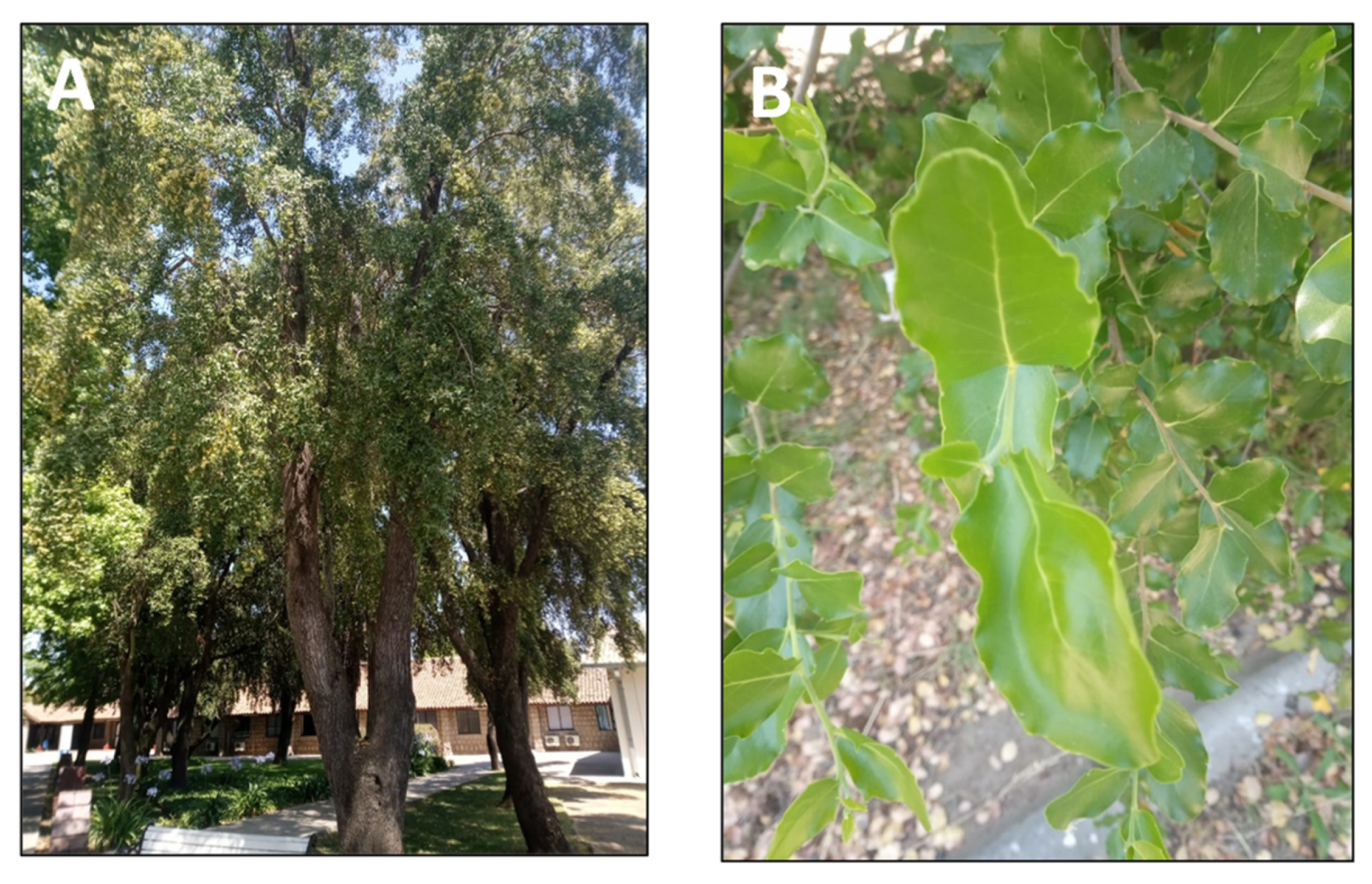 Pharmaceutics 15 00897 g005 Pharmaceutics 15 00897 g005