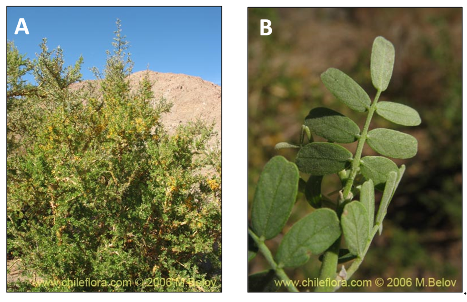 Pharmaceutics 15 00897 g012 Pharmaceutics 15 00897 g012