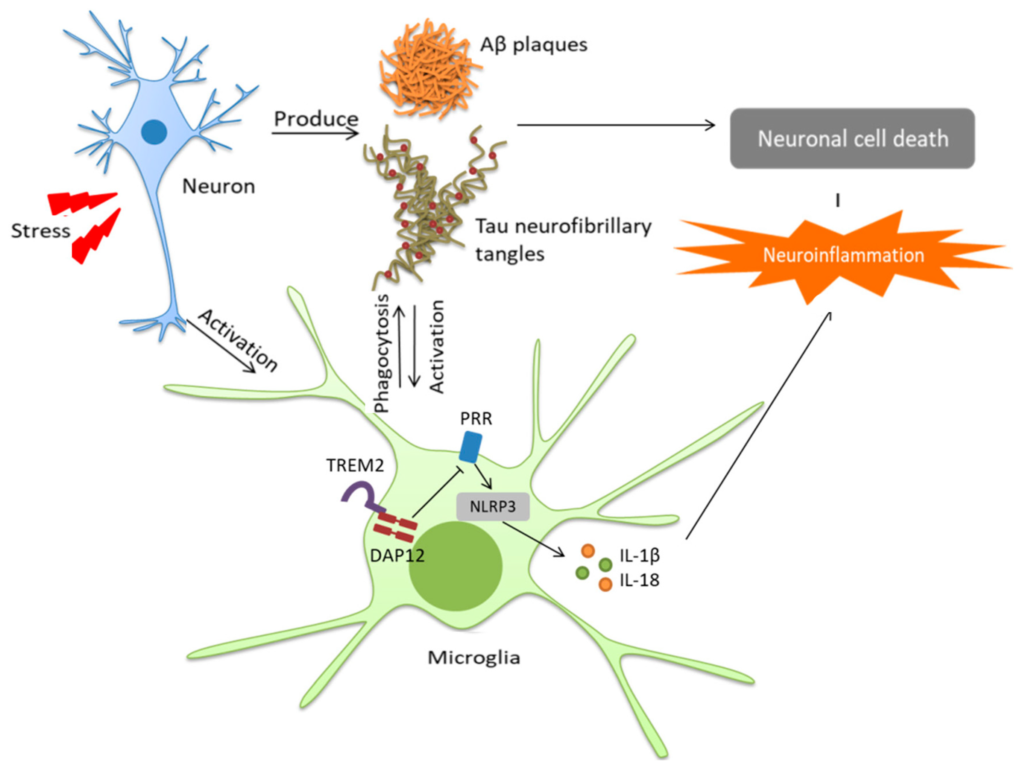 Pharmaceutics 15 00898 g004