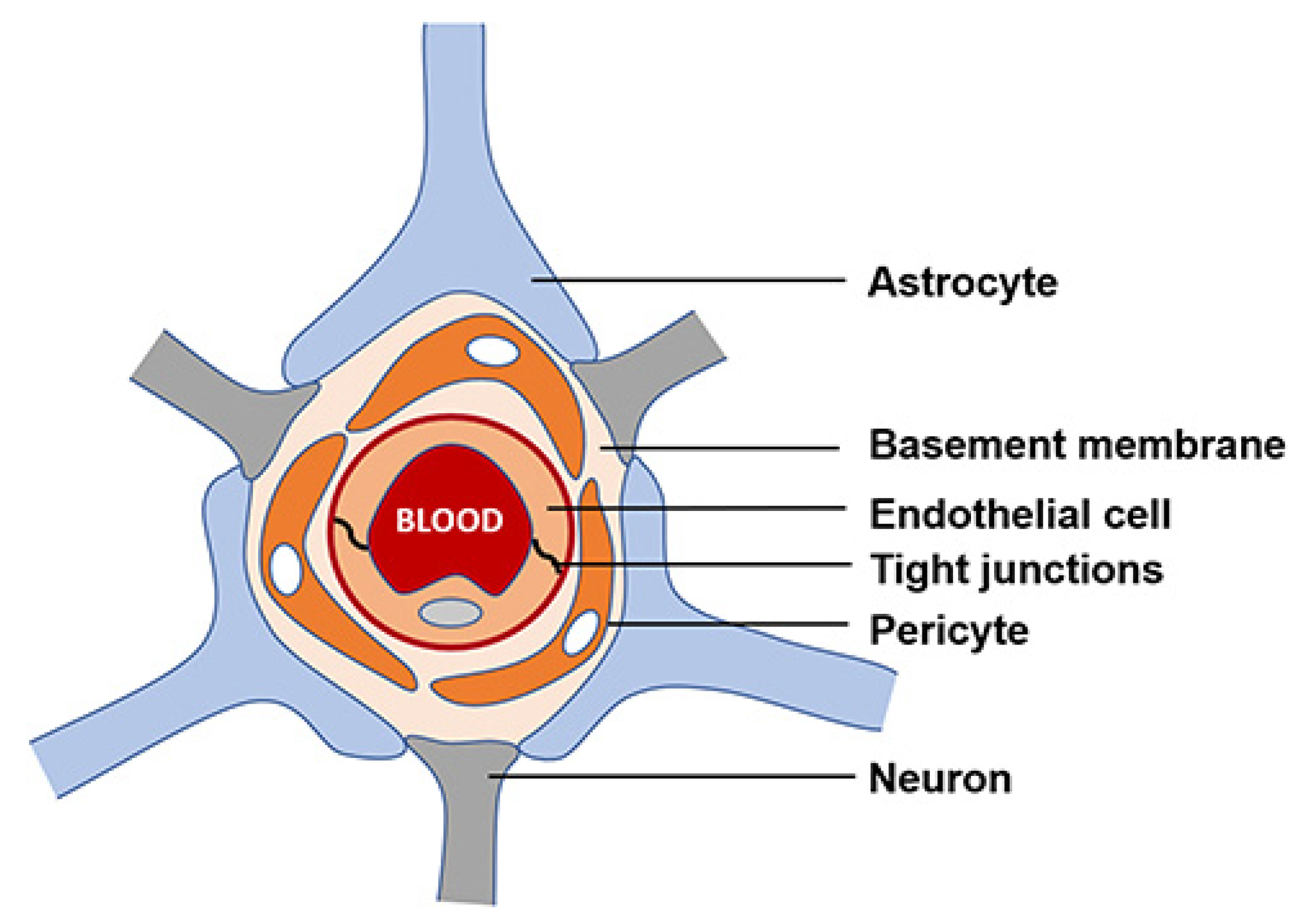 Pharmaceutics 15 00898 g005