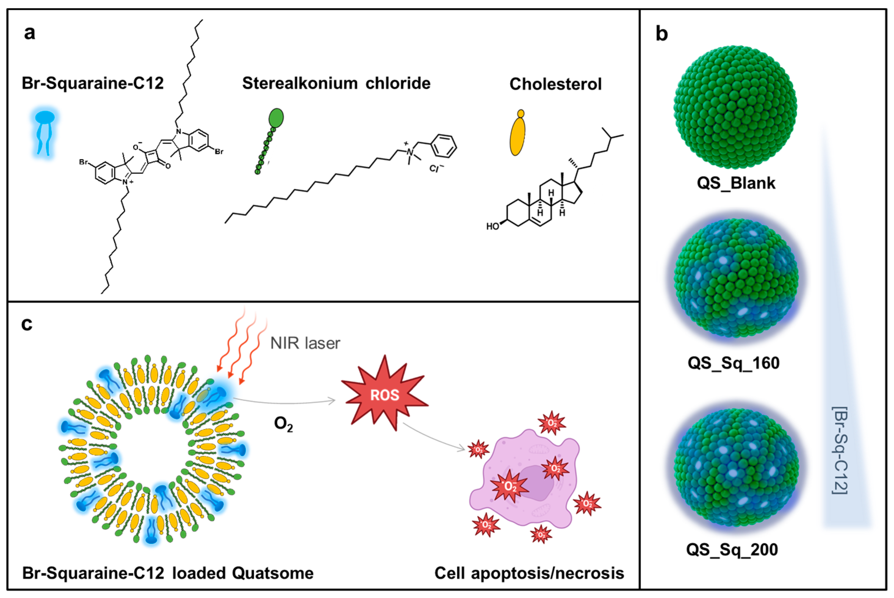 Pharmaceutics 15 00902 g001 Pharmaceutics 15 00902 g001