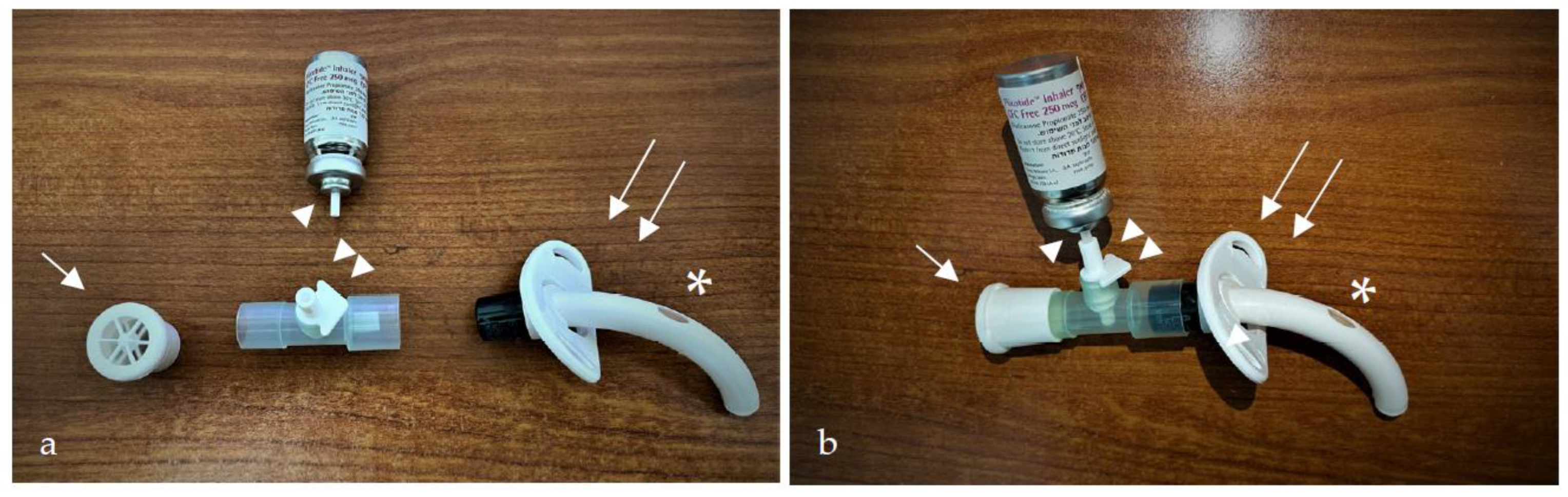 Pharmaceutics 15 00903 g001
