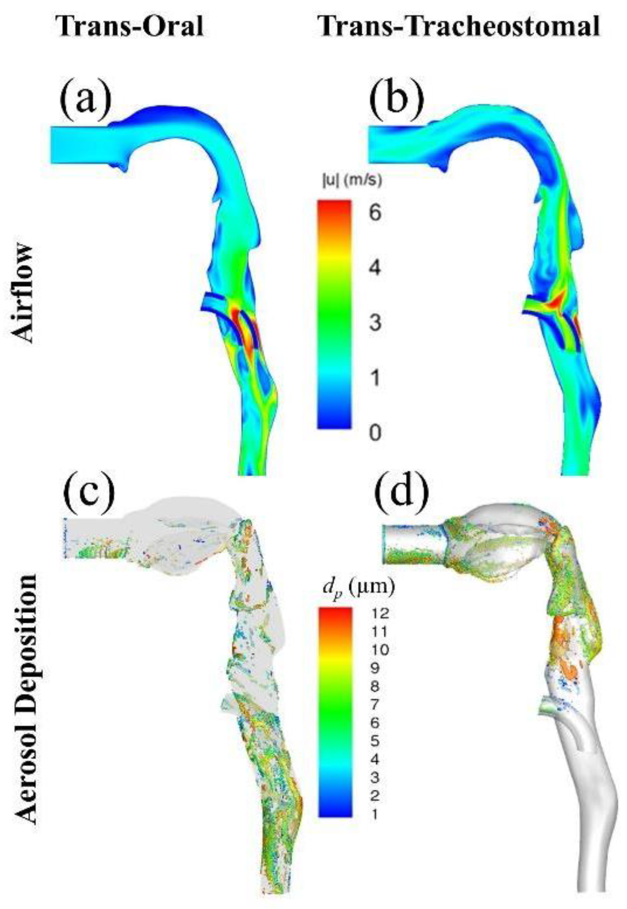 Pharmaceutics 15 00903 g005