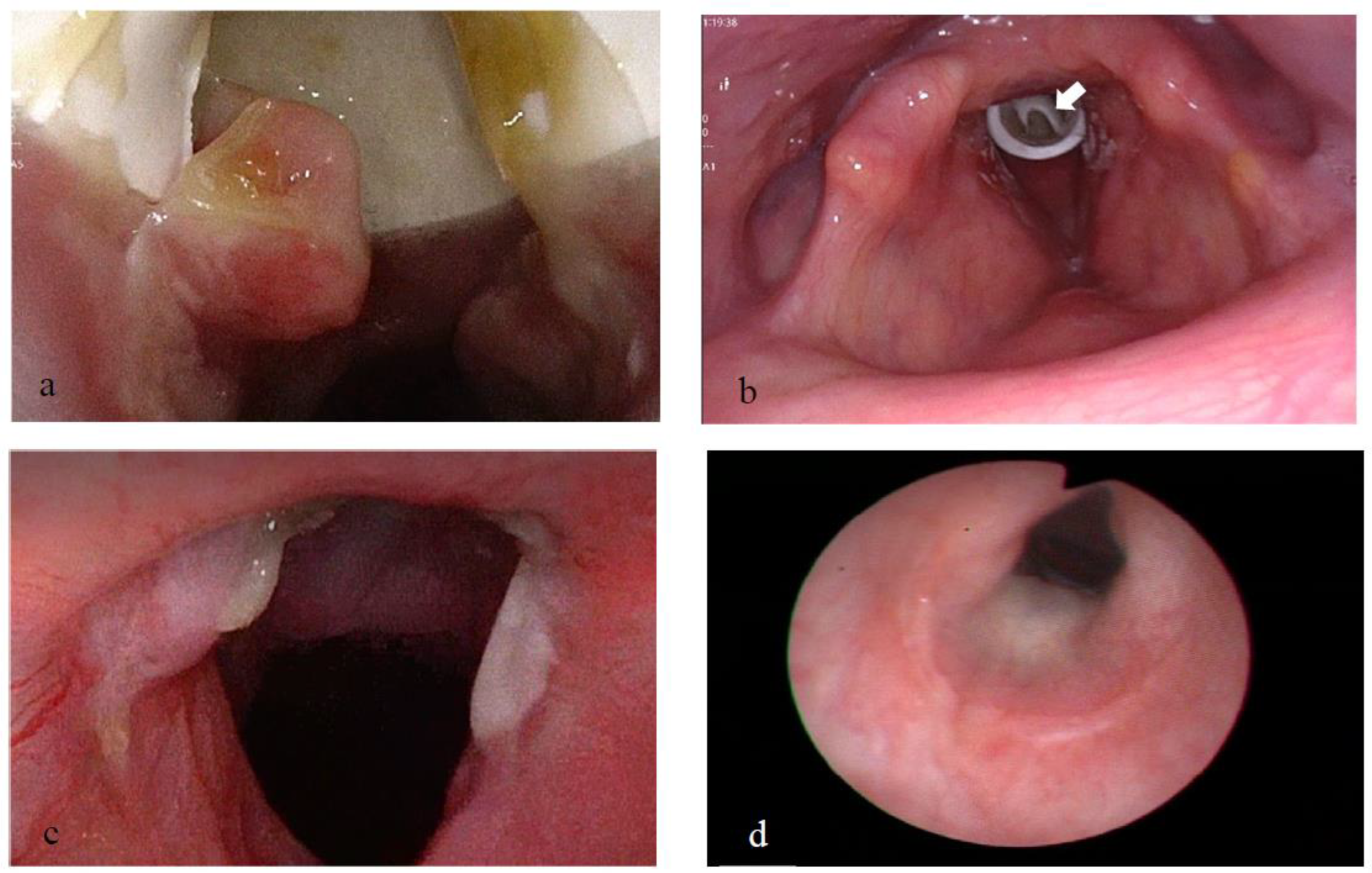 Pharmaceutics 15 00903 g006