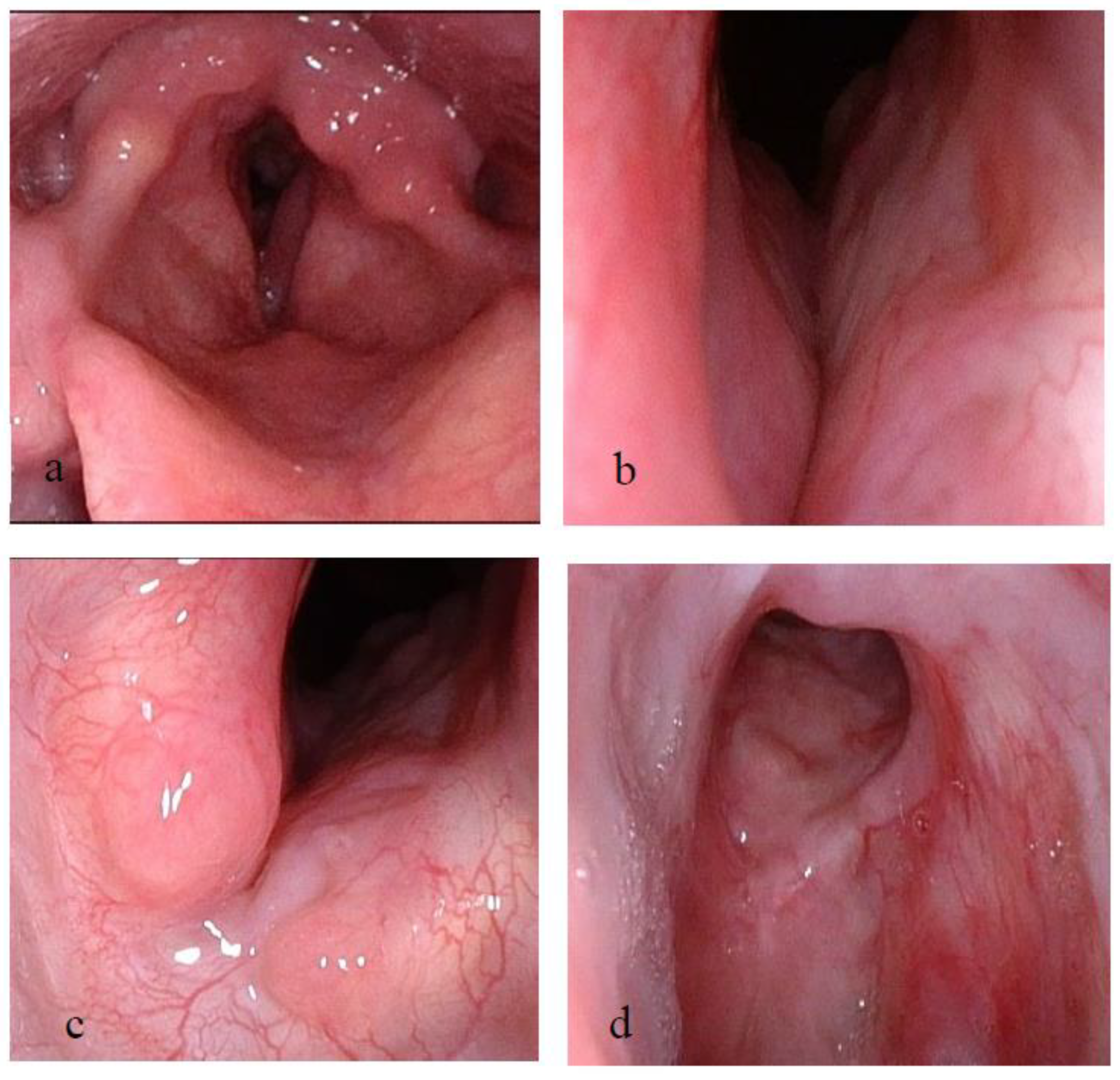 Pharmaceutics 15 00903 g007