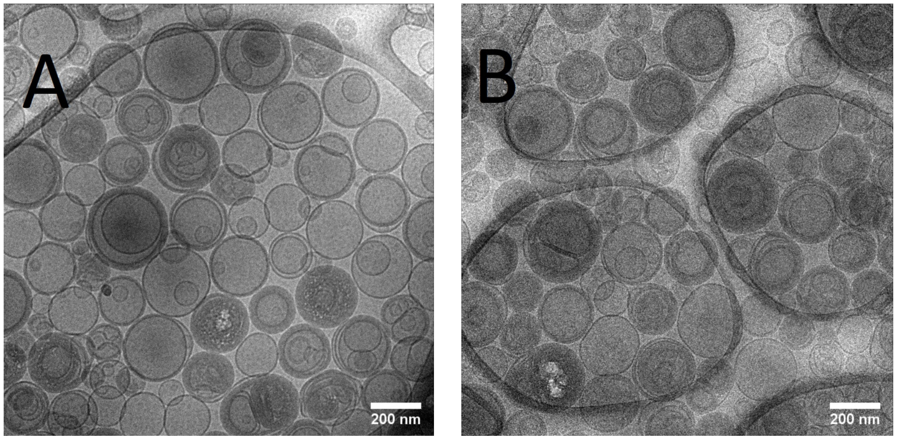 Pharmaceutics 15 00904 g001