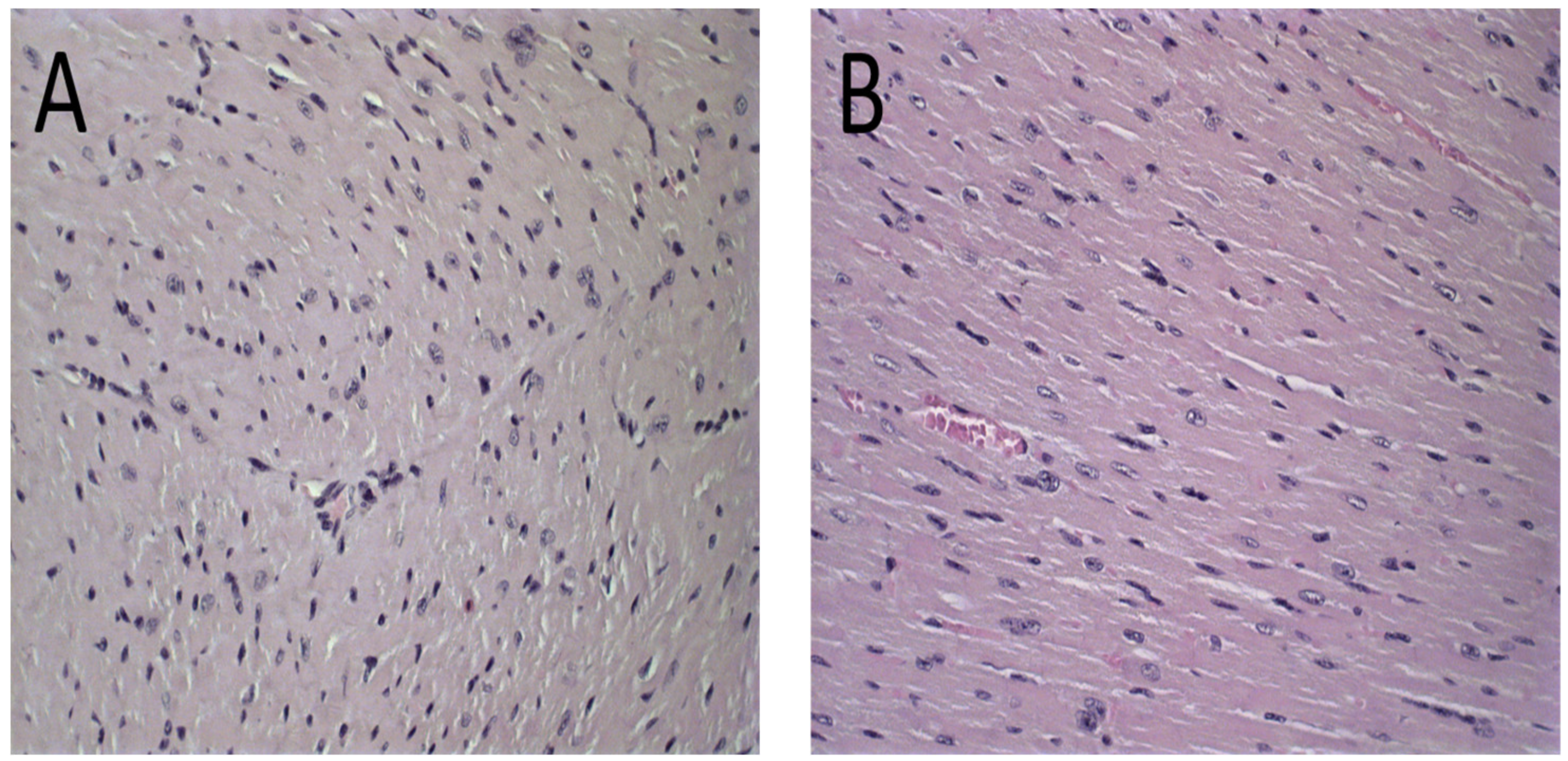 Pharmaceutics 15 00904 g006a