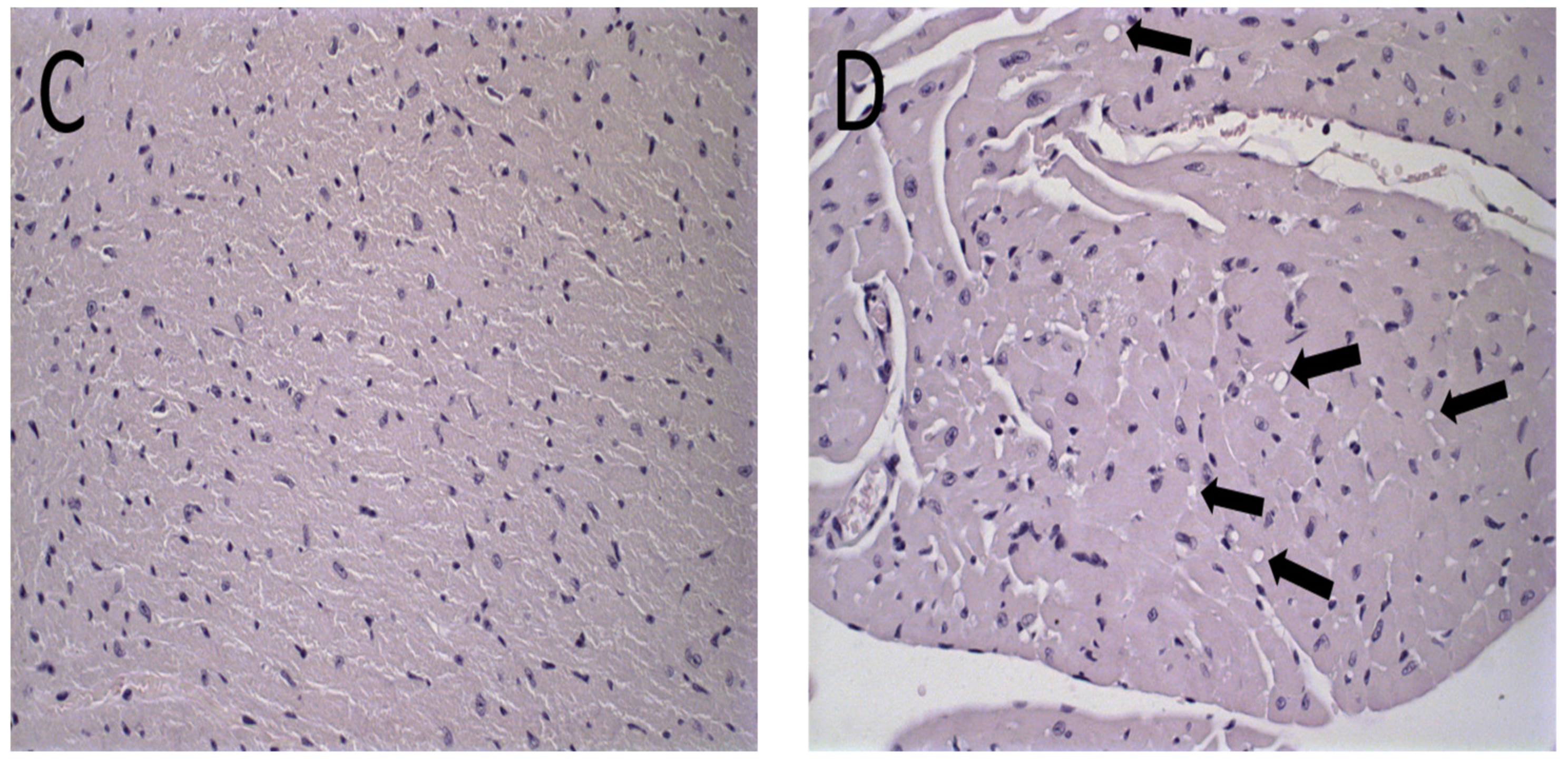 Pharmaceutics 15 00904 g006b