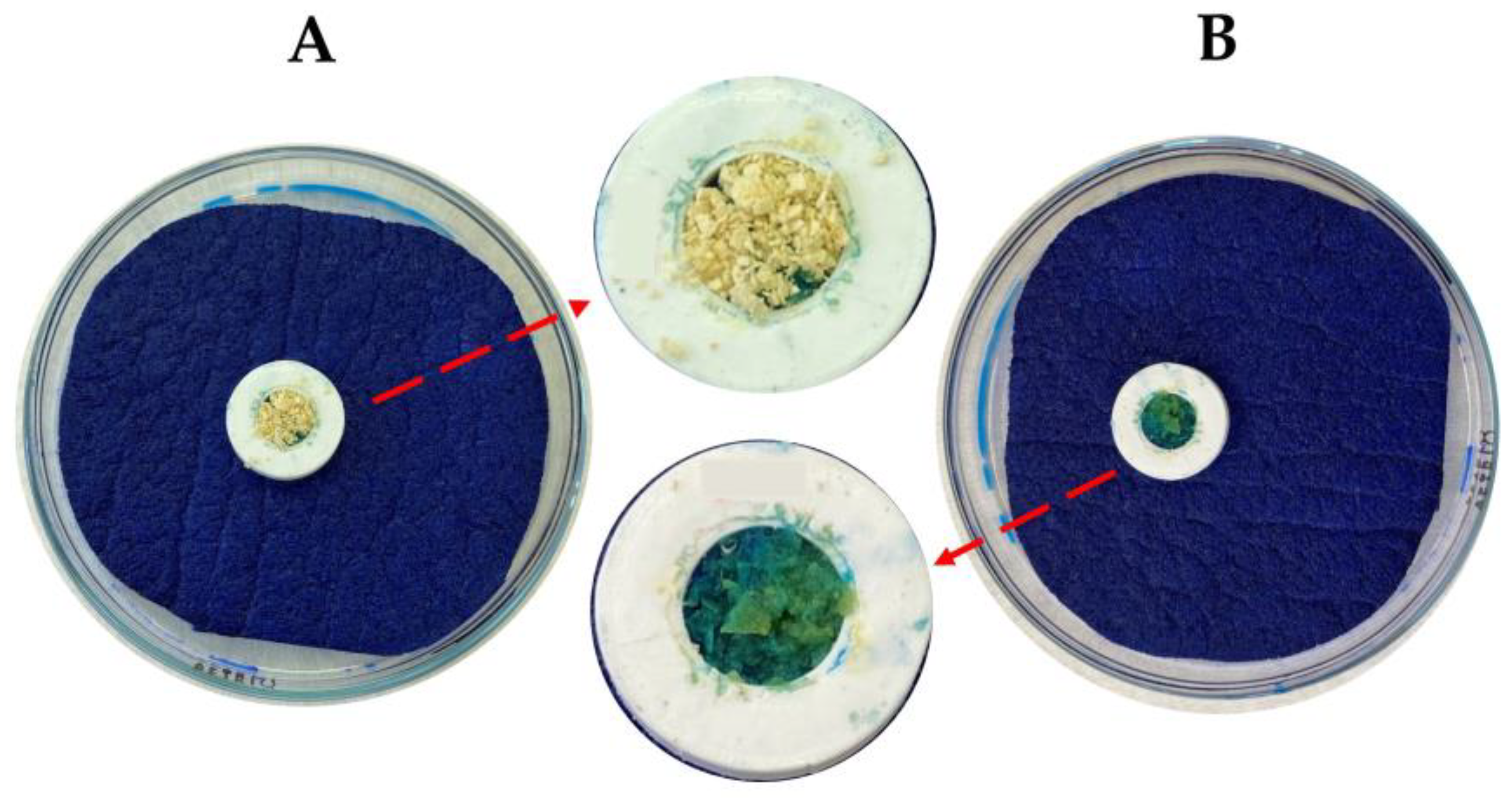 Pharmaceutics 15 00910 g001 Pharmaceutics 15 00910 g001