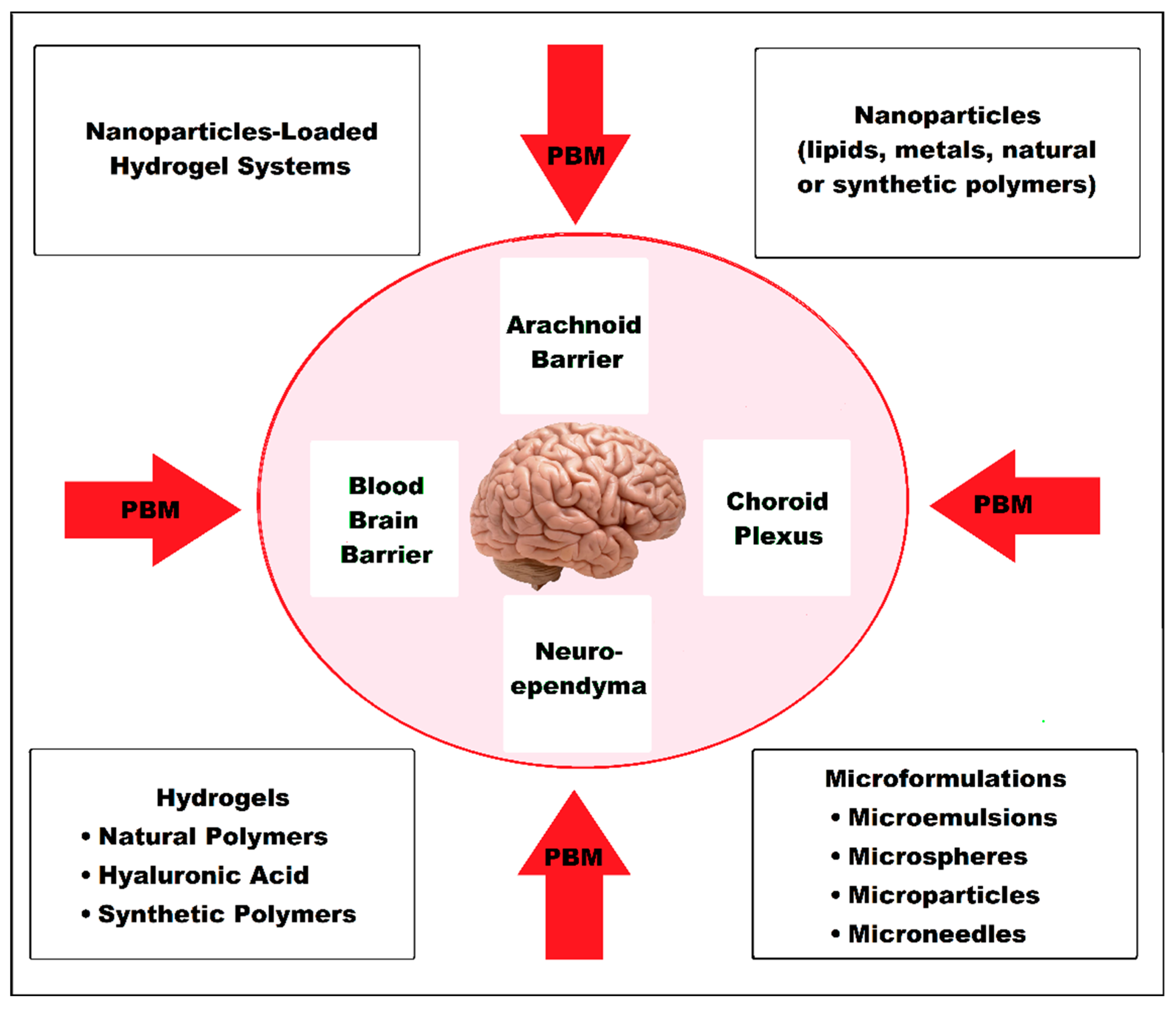 Pharmaceutics 15 00916 g001