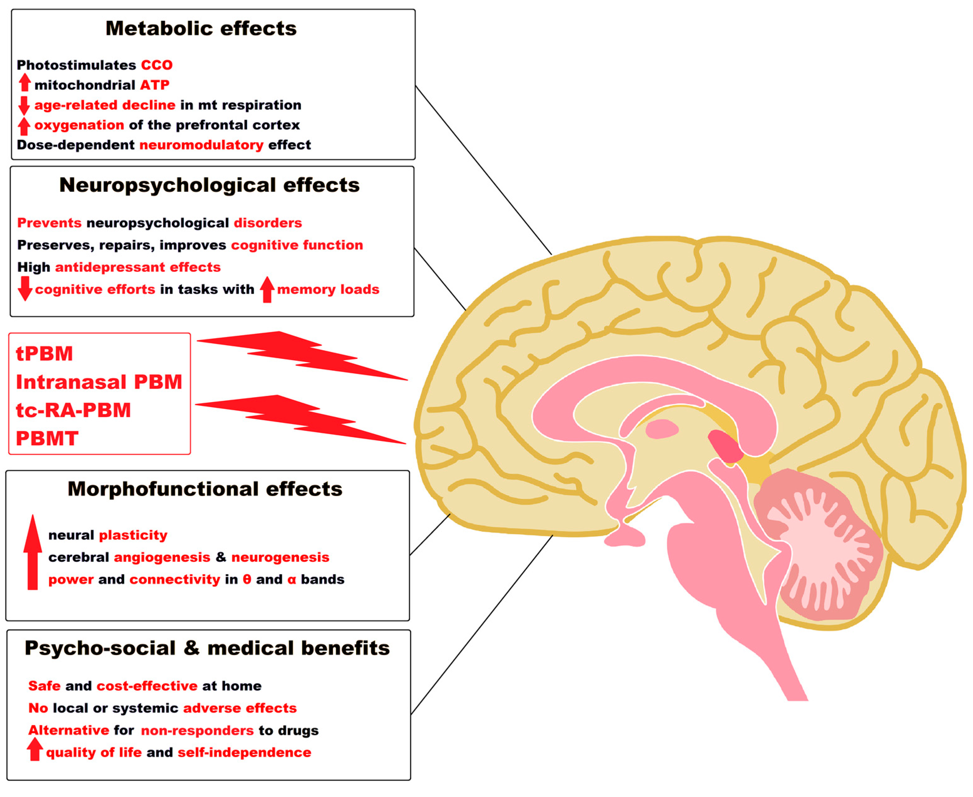 Pharmaceutics 15 00916 g002