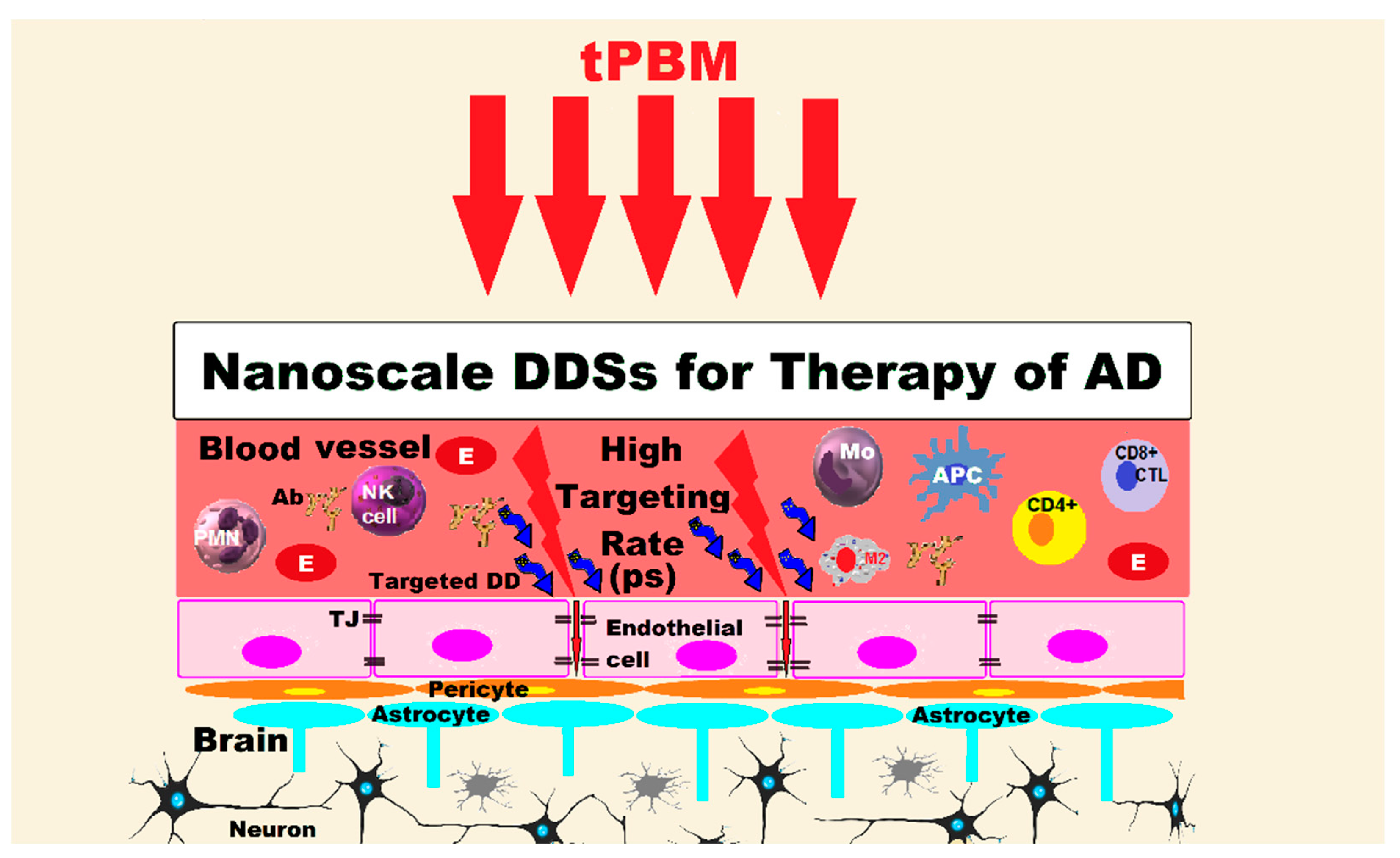 Pharmaceutics 15 00916 g003