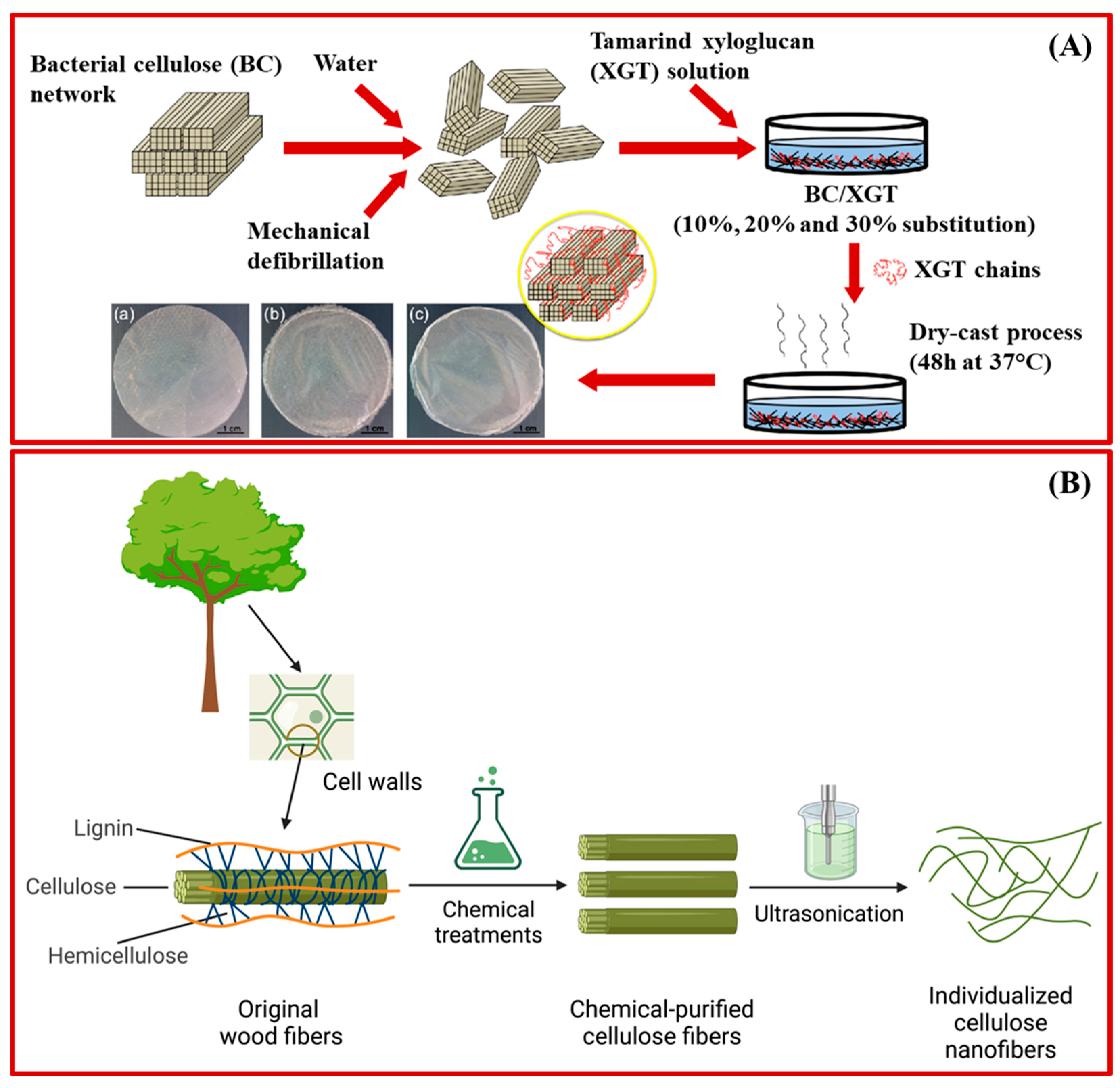 Sustainable Nanomaterials for Biomedical Applications | MDPI