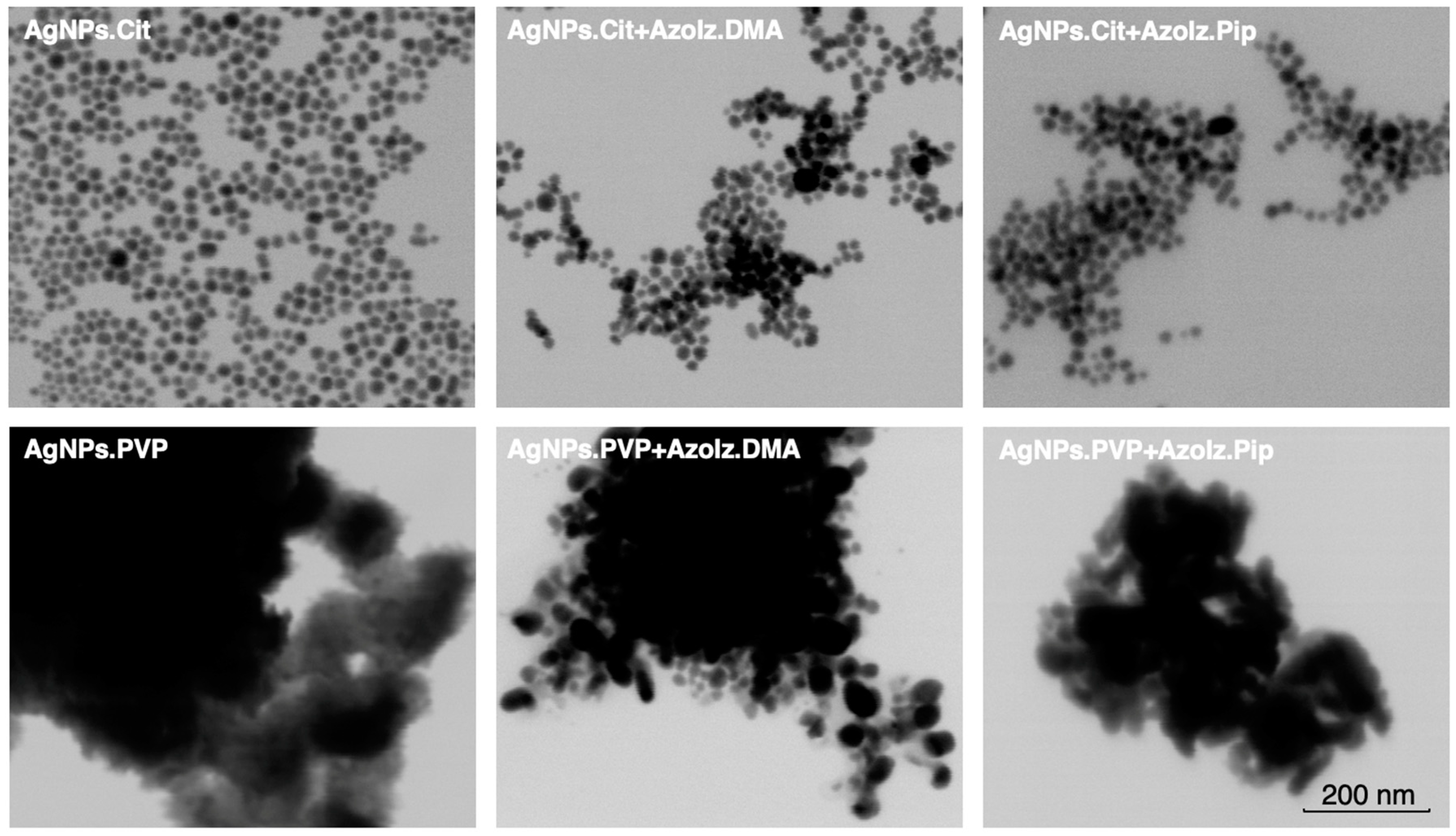 Pharmaceutics 15 00926 g004 Pharmaceutics 15 00926 g004