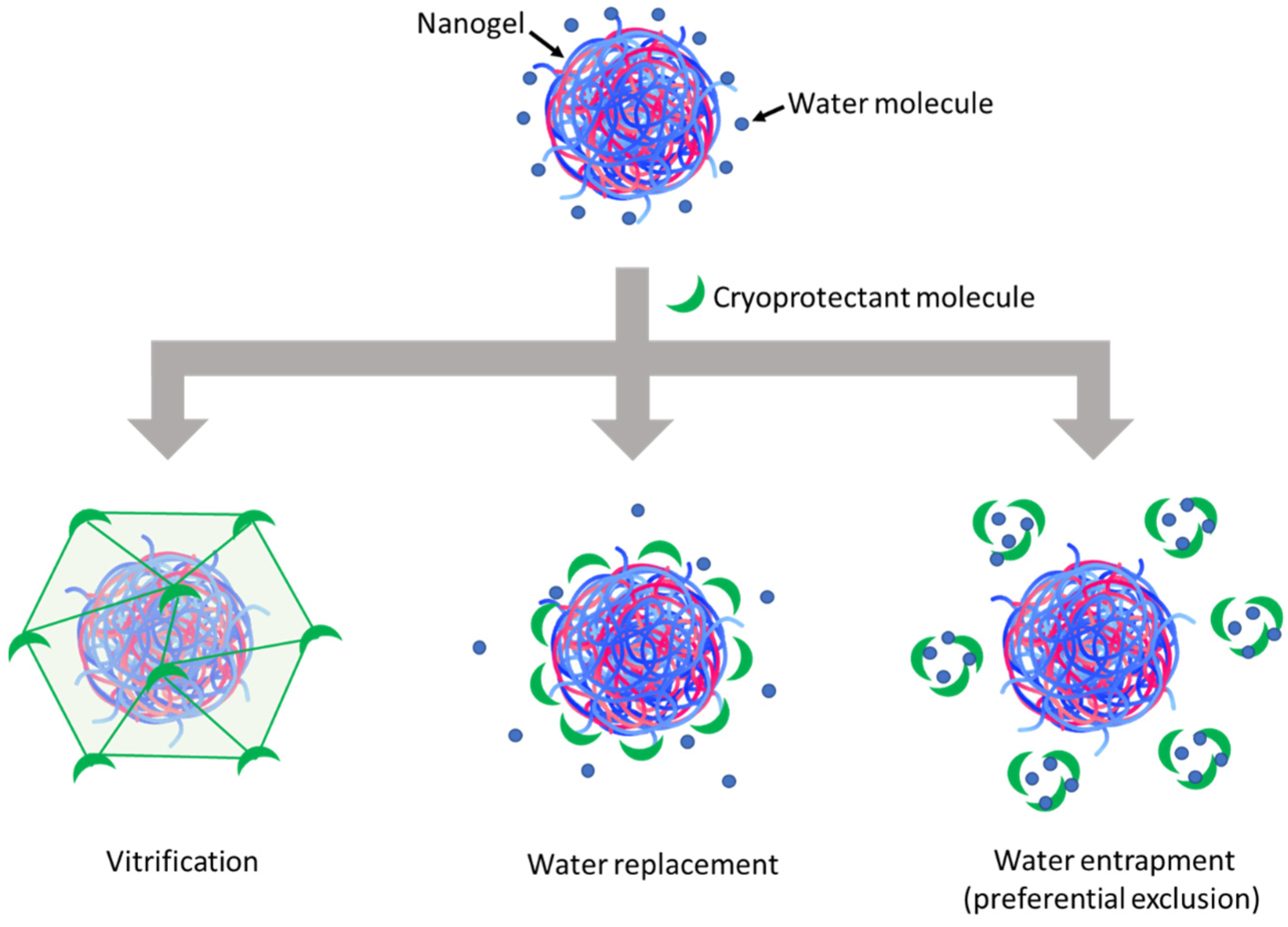 Pharmaceutics 15 00929 g003