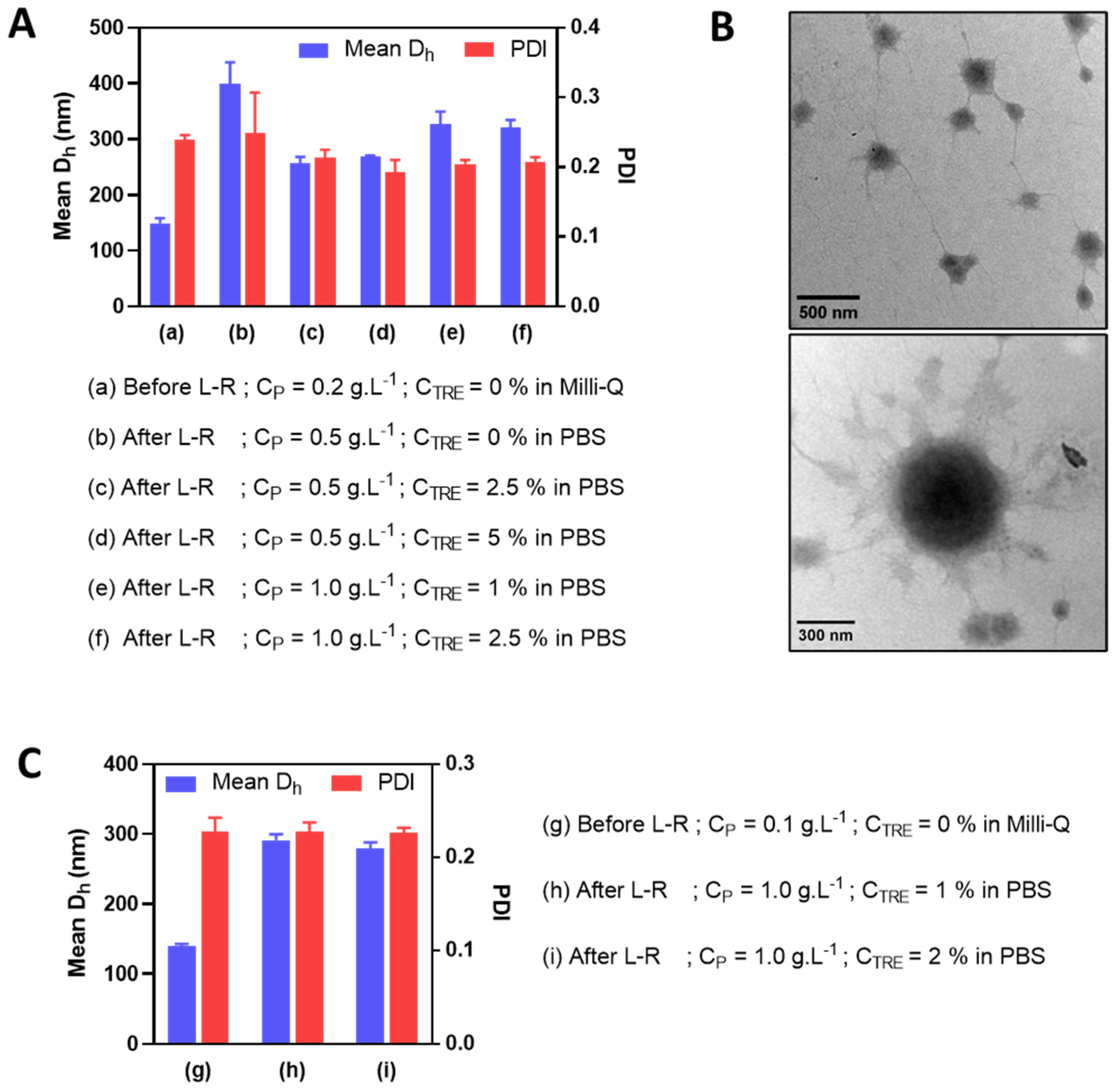 Pharmaceutics 15 00929 g005
