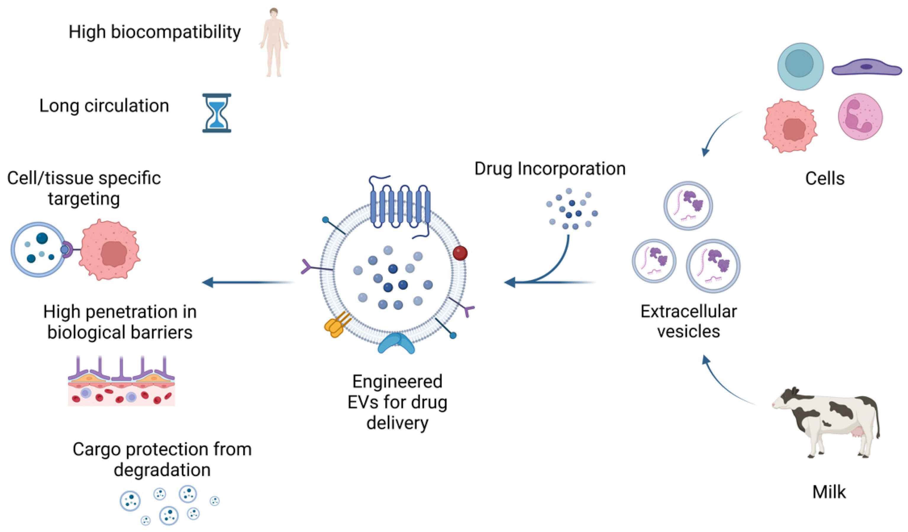 Pharmaceutics 15 00937 g003