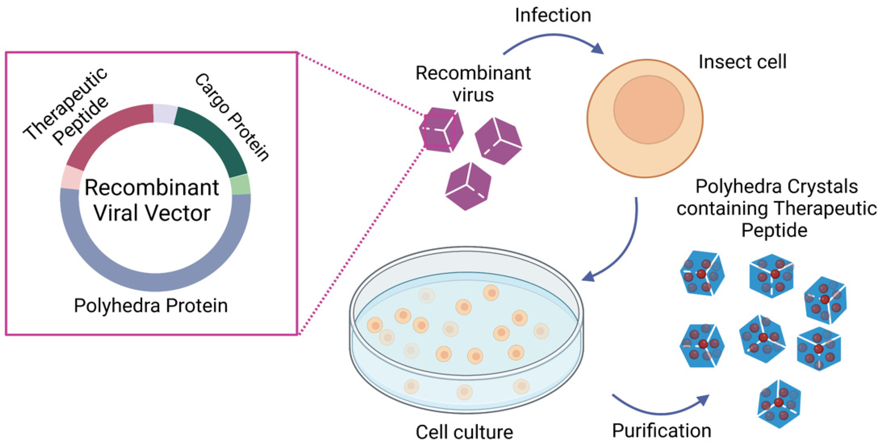 Pharmaceutics 15 00937 g004