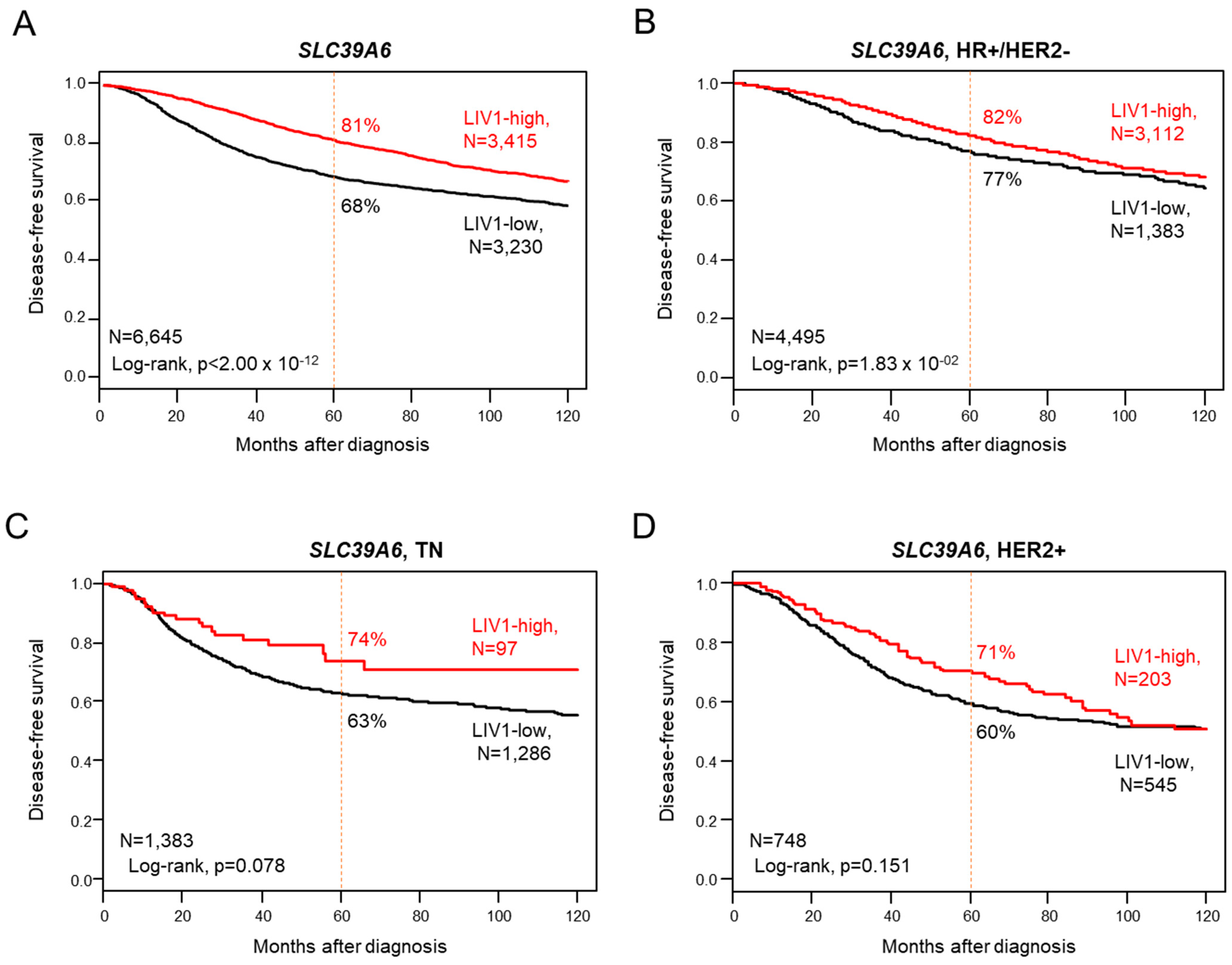 Pharmaceutics 15 00938 g001