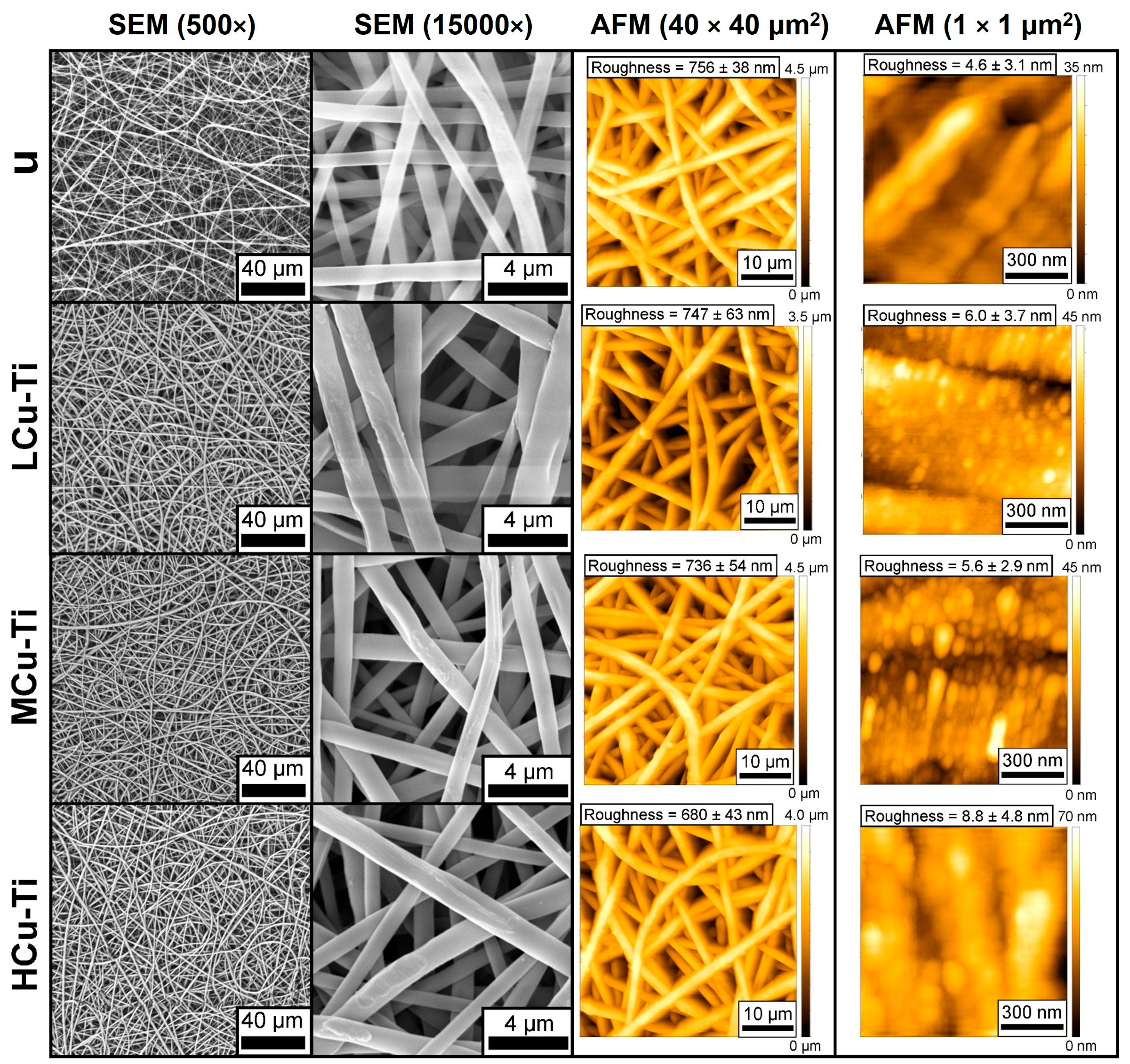 Pharmaceutics 15 00939 g002