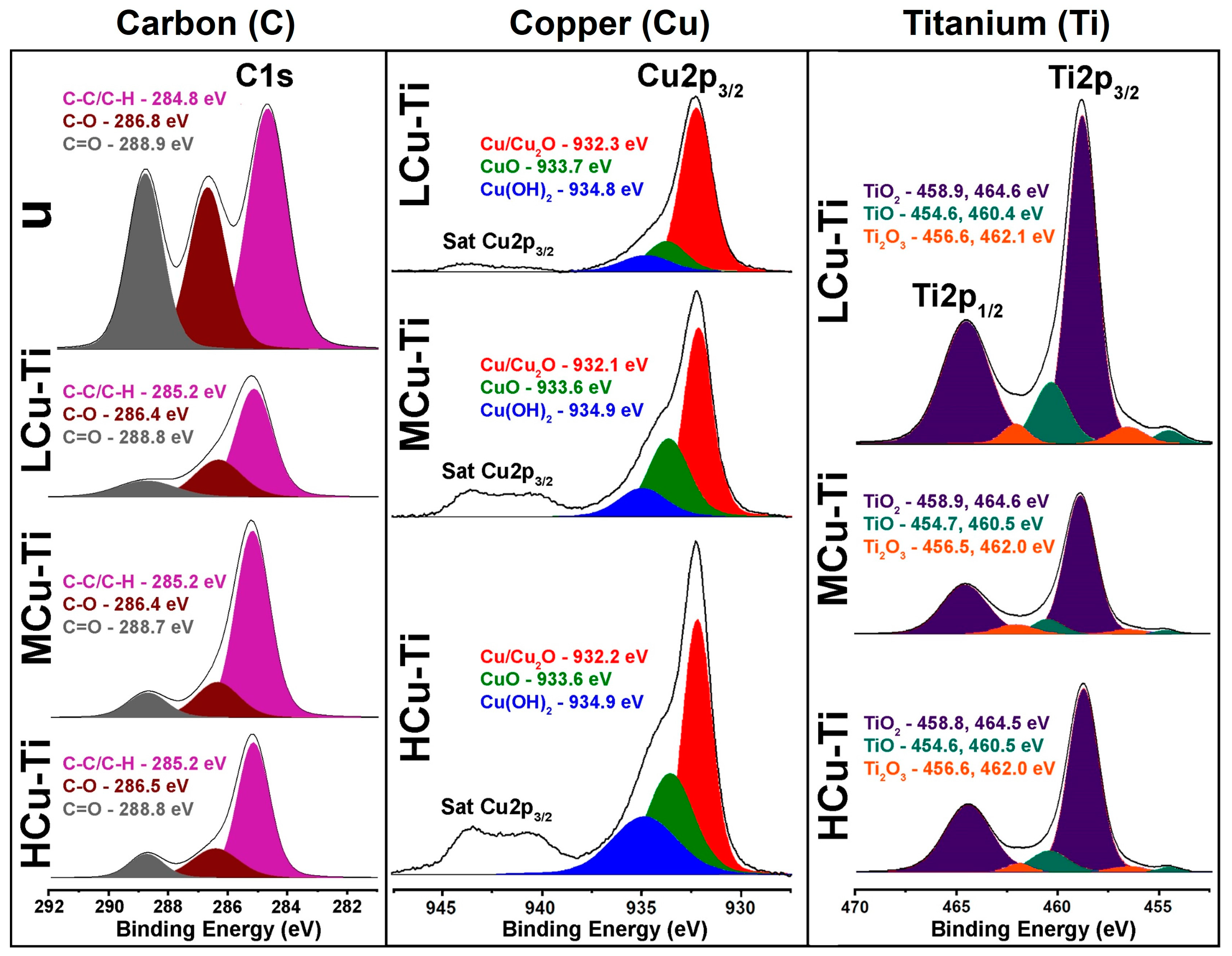 Pharmaceutics 15 00939 g003