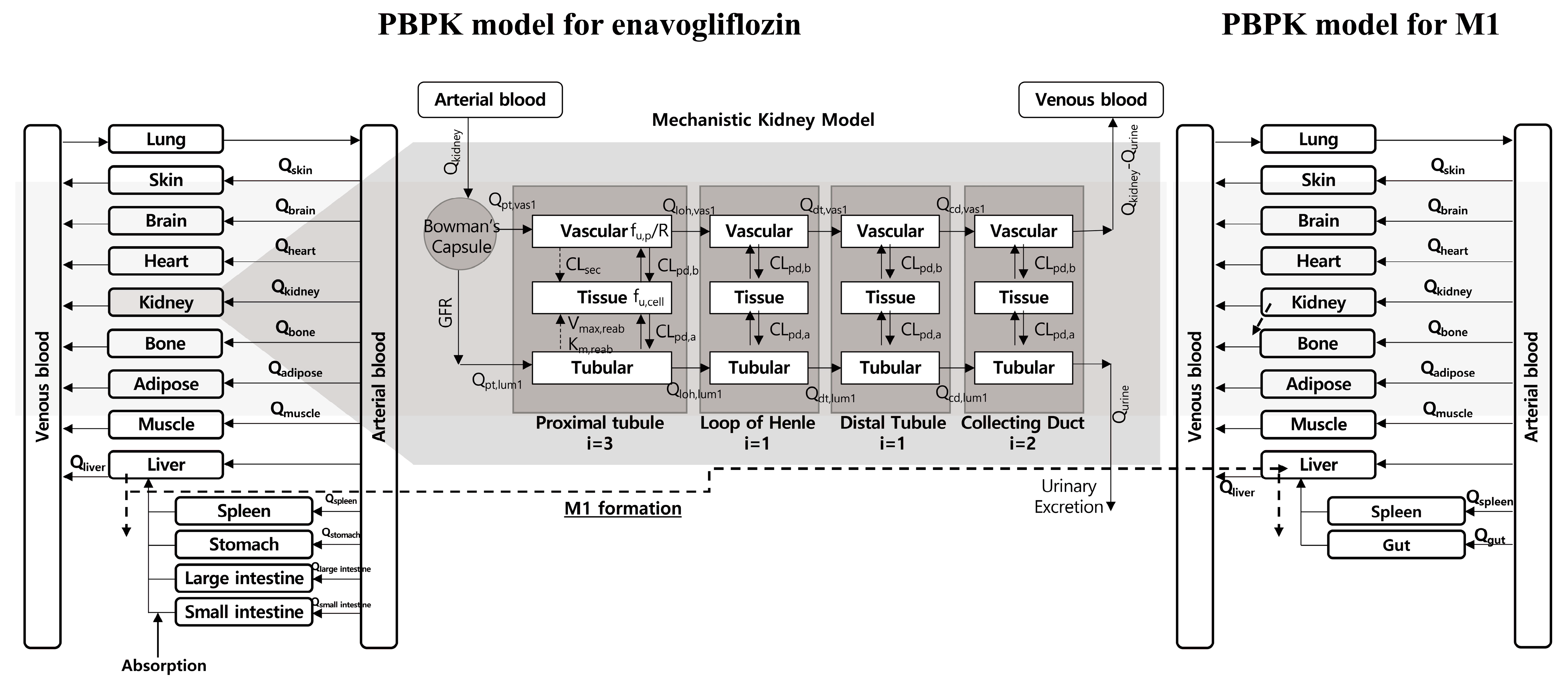 Pharmaceutics 15 00942 g001