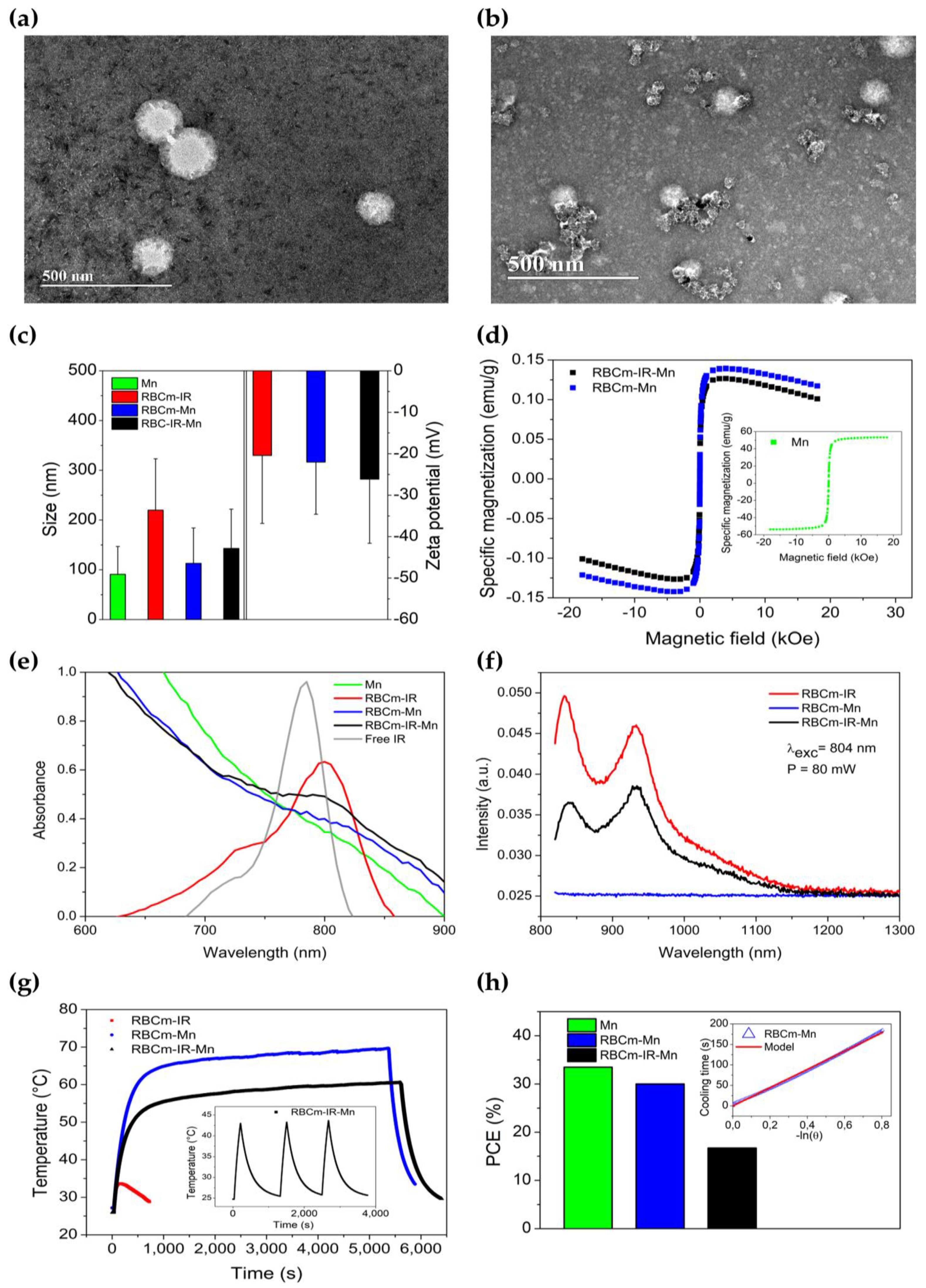 Pharmaceutics 15 00943 g001