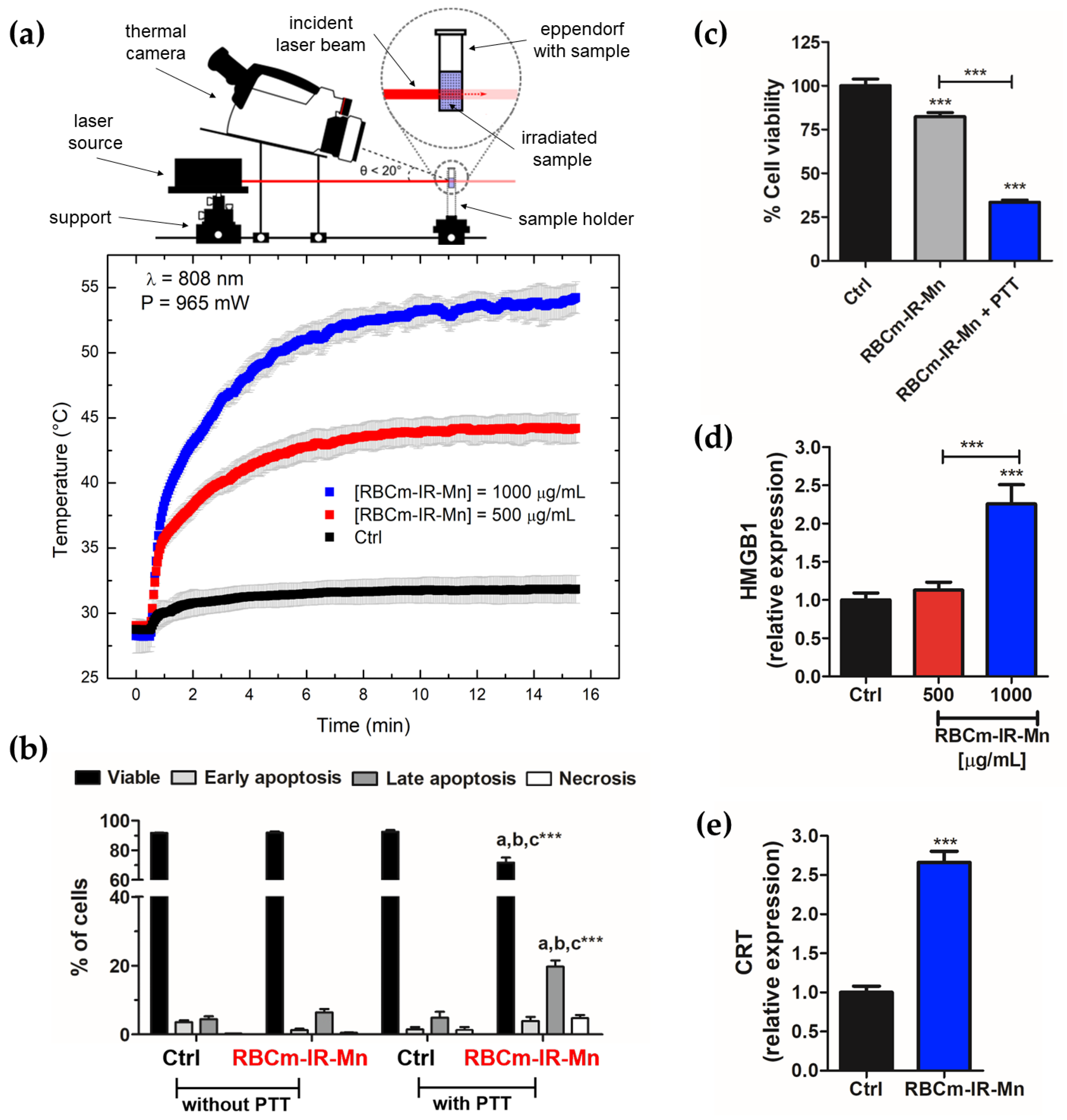 Pharmaceutics 15 00943 g002