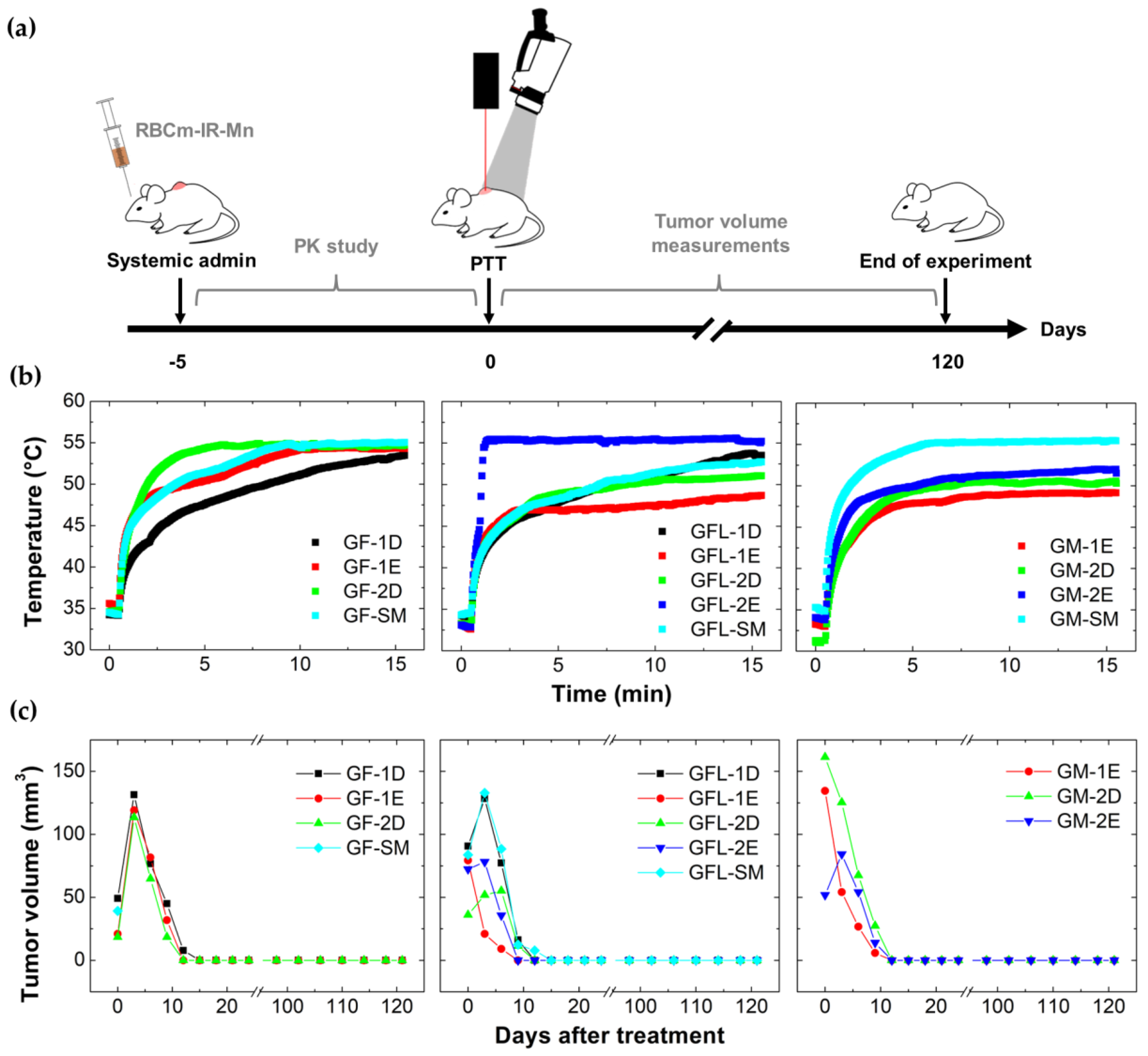 Pharmaceutics 15 00943 g003