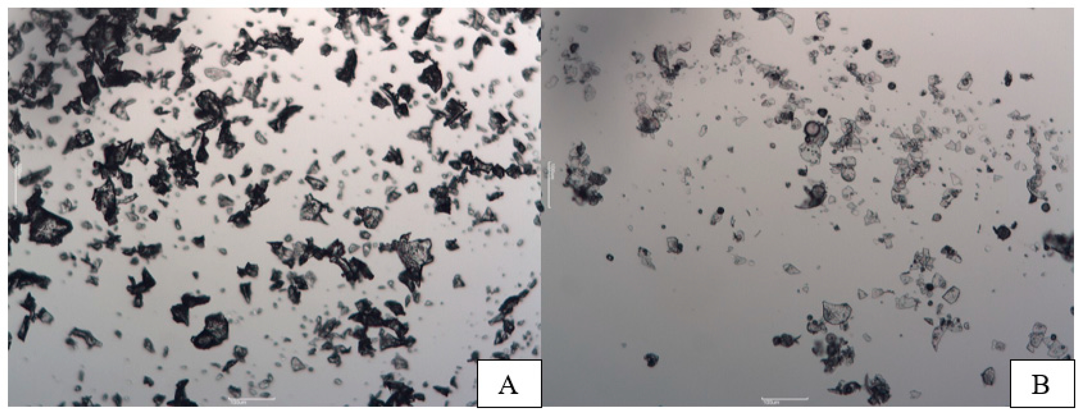 Pharmaceutics 15 00949 g001