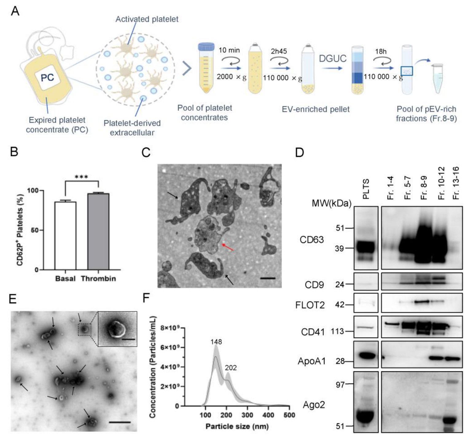 Pharmaceutics 15 00953 g001 Pharmaceutics 15 00953 g001