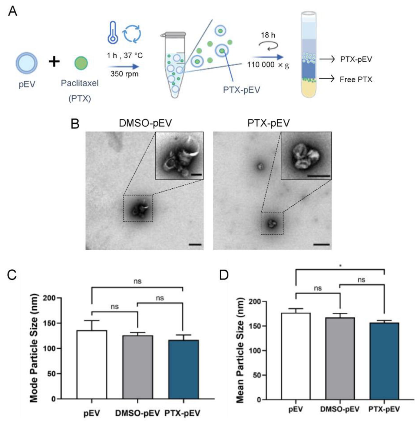 Pharmaceutics 15 00953 g003 Pharmaceutics 15 00953 g003