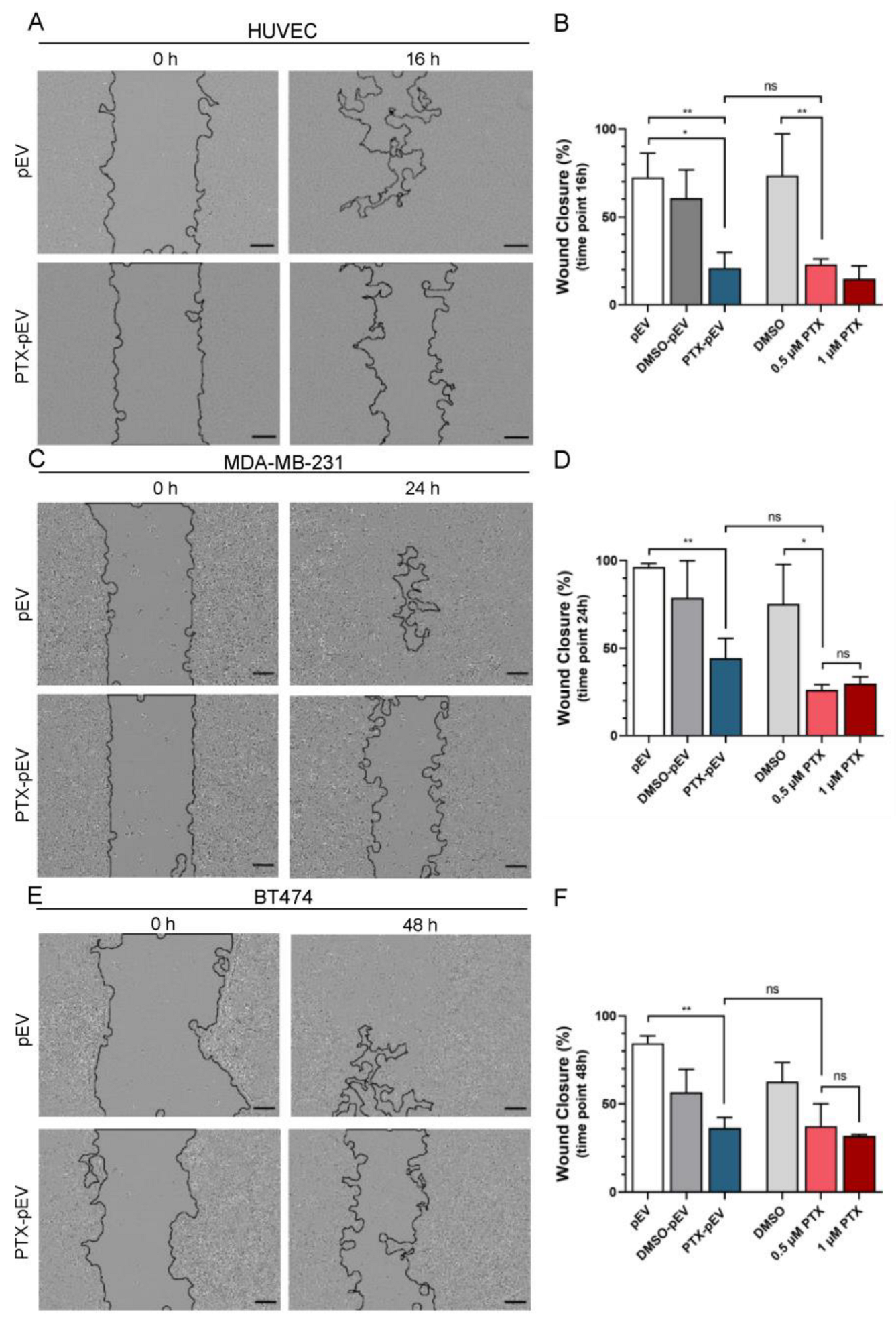 Pharmaceutics 15 00953 g005 Pharmaceutics 15 00953 g005