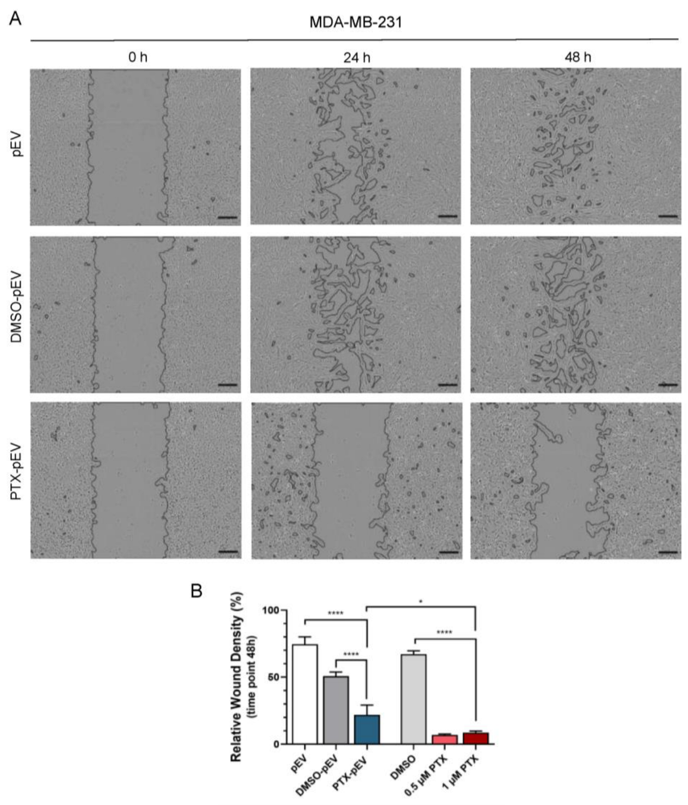 Pharmaceutics 15 00953 g006 Pharmaceutics 15 00953 g006